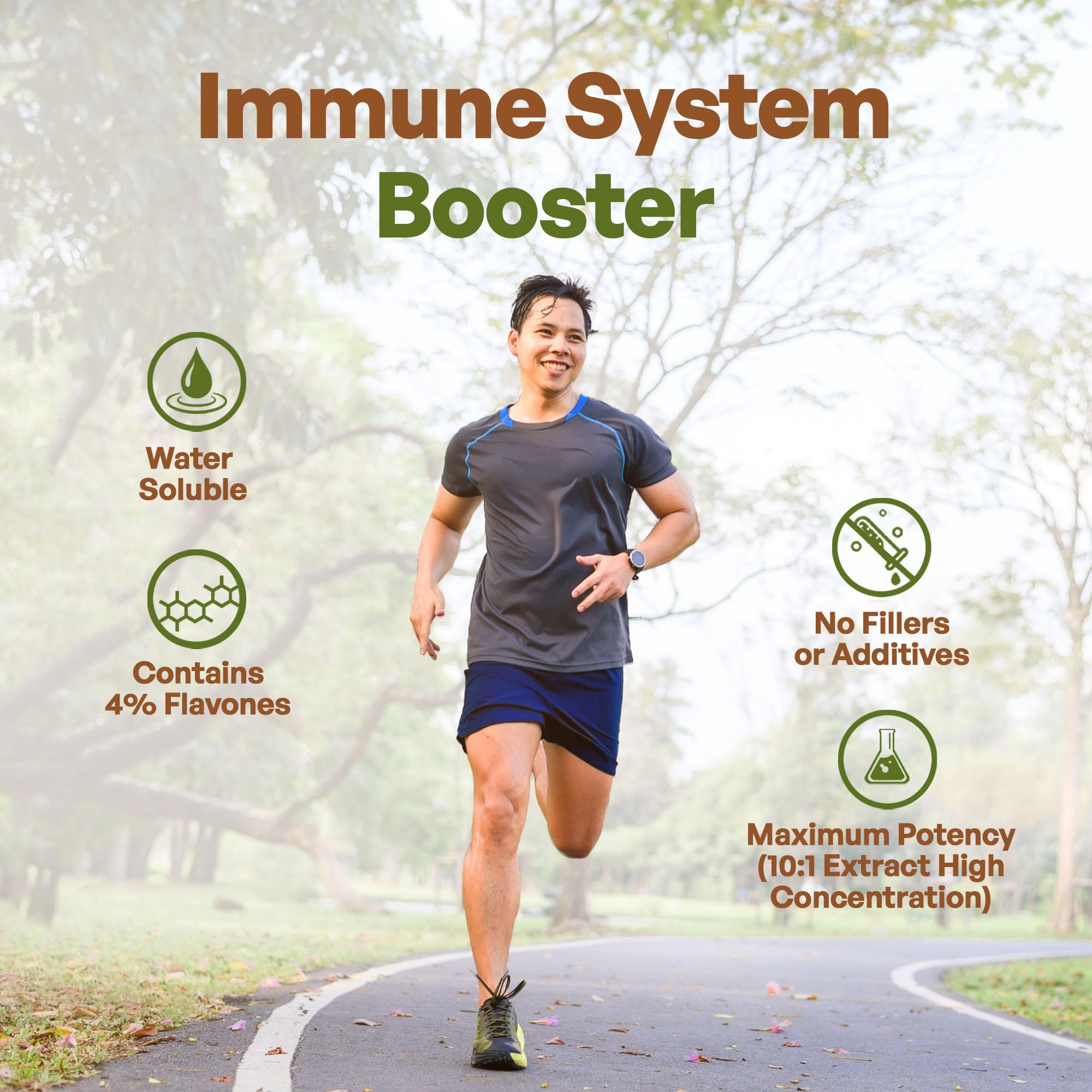 Go Nutra - Dandelion Root Powder, Potent 10:1 Dandelion Root Extract with 4% Flavonoids Go Nutra