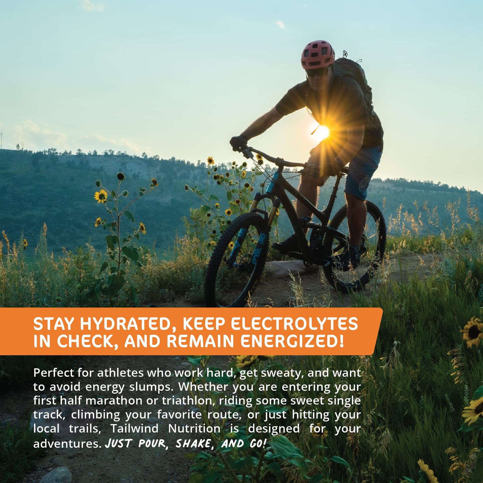 Tailwind Grab-and-Go Endurance Fuel Single Serve Assorted Flavors