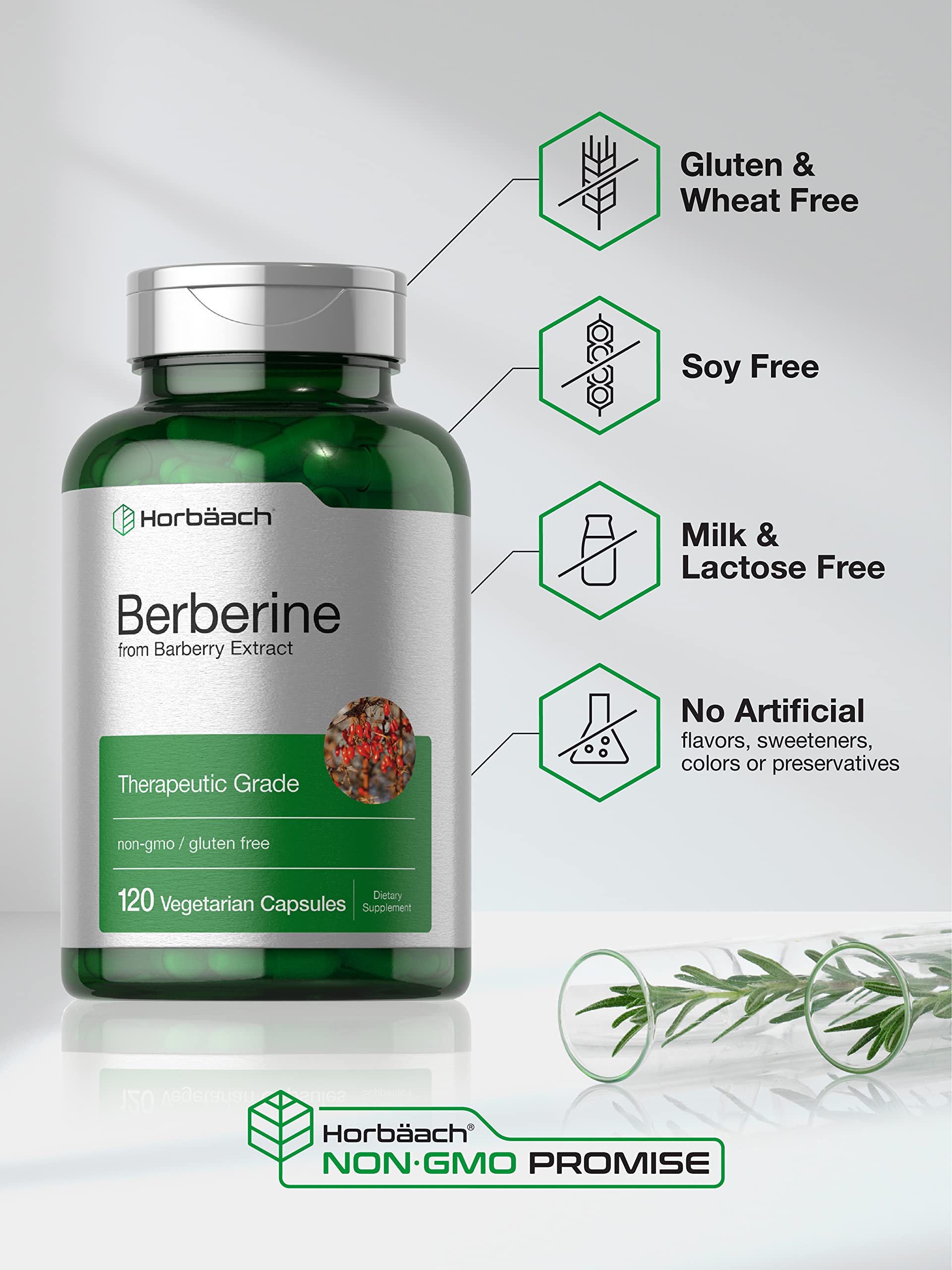 Berberine Supplement | 120 Capsules | Berberine HCl from Barberry Extract | Non-GMO Horbäach