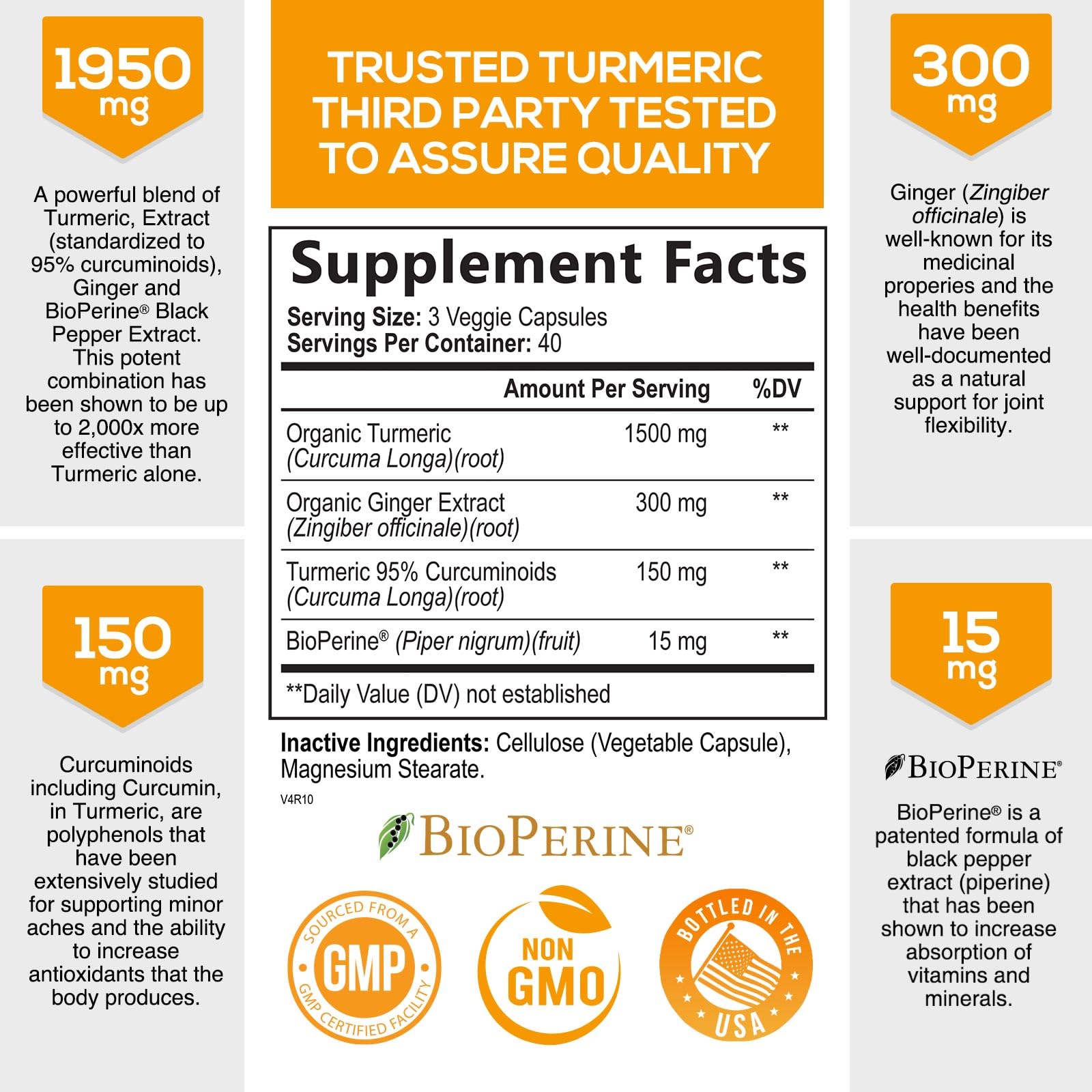 Turmeric Curcumin with BioPerine & Ginger 95% Standardized Curcuminoids
