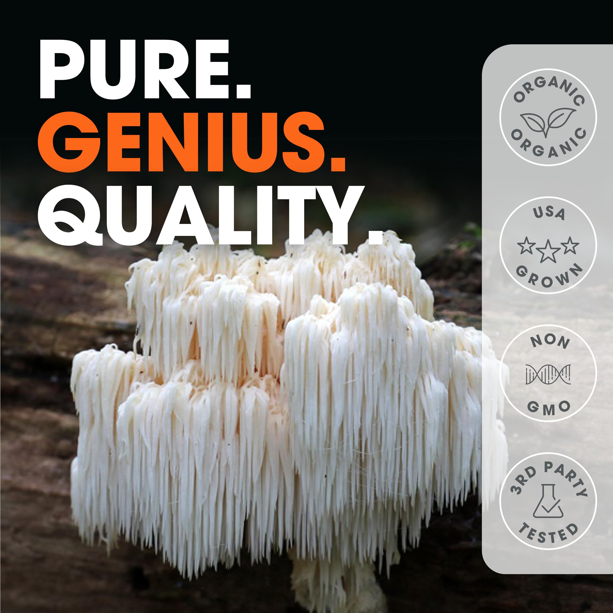 Genius Lions Mane Supplement Capsules - Organic Nootropic Supplement, 1200mg per The Genius Brand