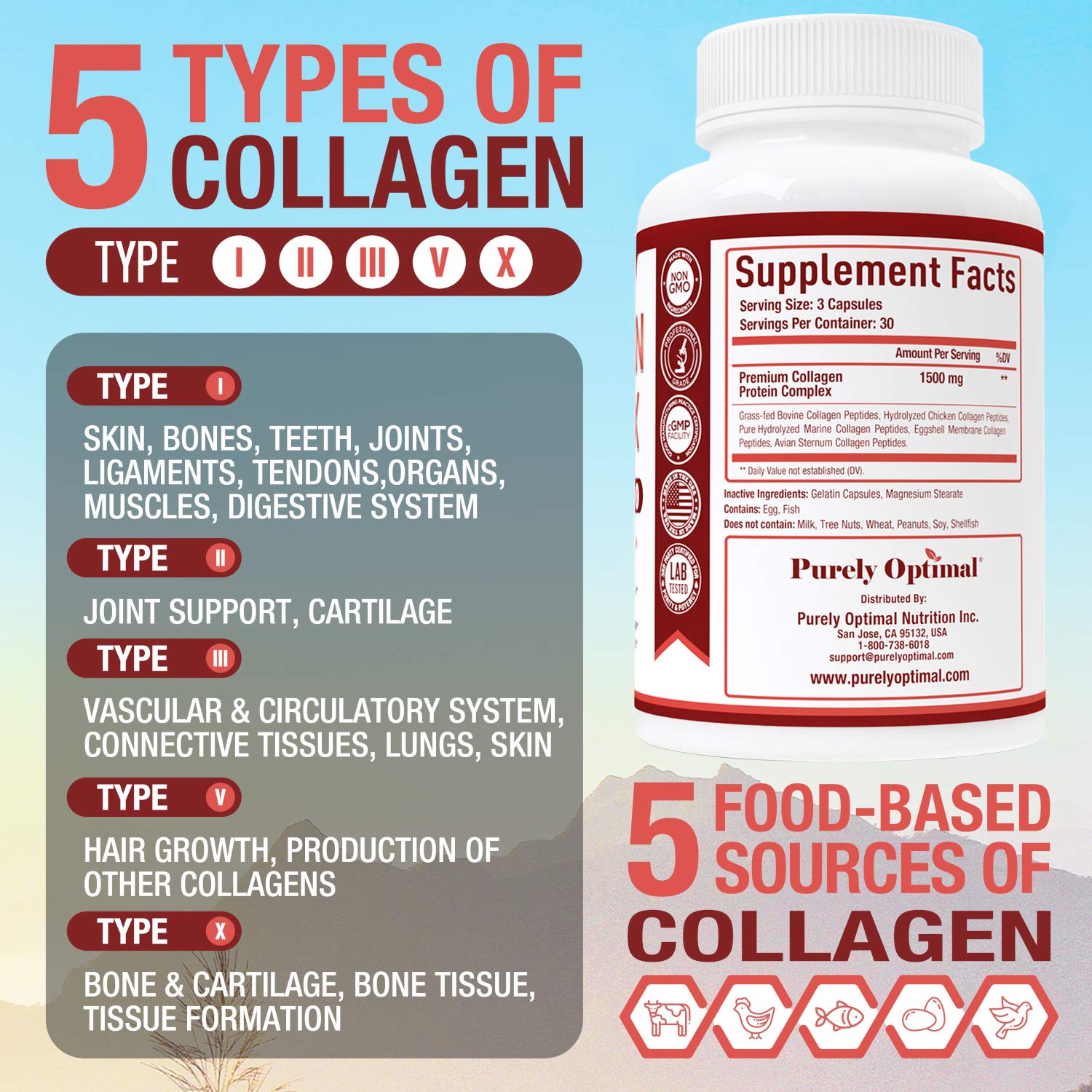 Purely Optimal Premium Multi Collagen Peptides Capsules (Types I, II, III, V, X) - Hair Purely Optimal