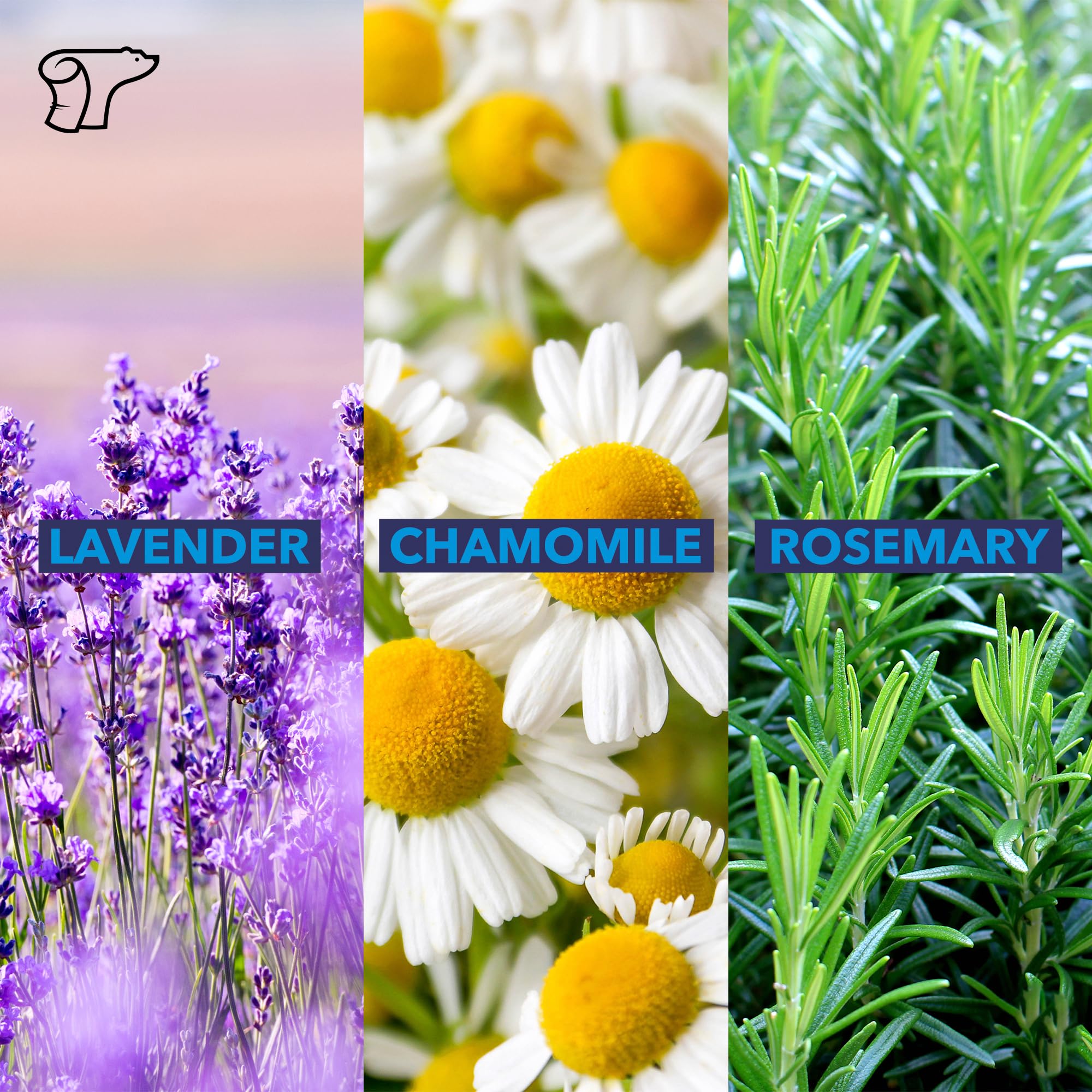 TheraICE Soothing Head Stick 10 ml (.33-Oz) Essential Oil Roll on Aromatherapy TheraICE Rx