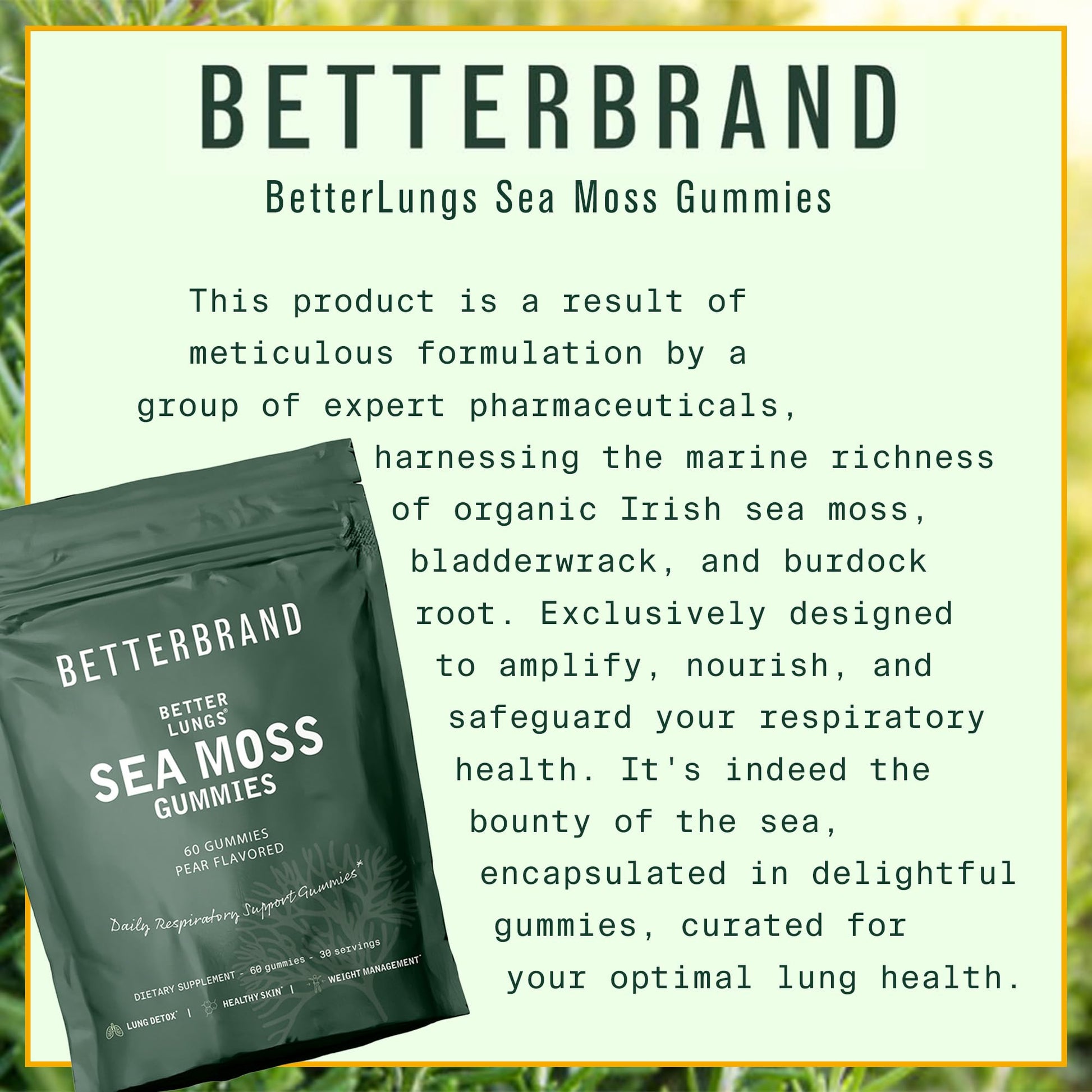 Betterbrand BetterLungs Pear Flavored Sea Moss Gummies - 1600mg Bladderwrack Betterbrand
