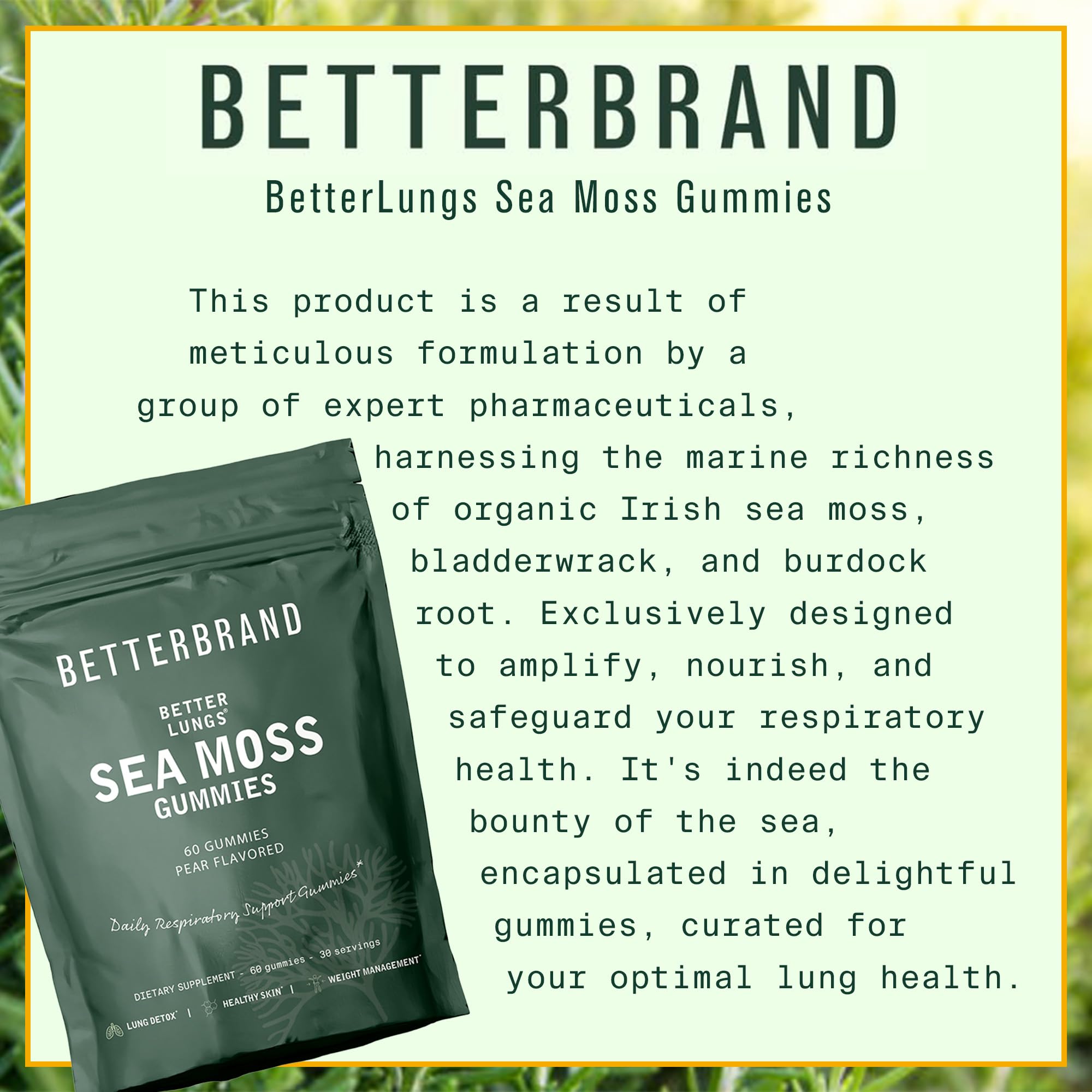 Betterbrand BetterLungs Pear Flavored Sea Moss Gummies - 1600mg Bladderwrack Betterbrand