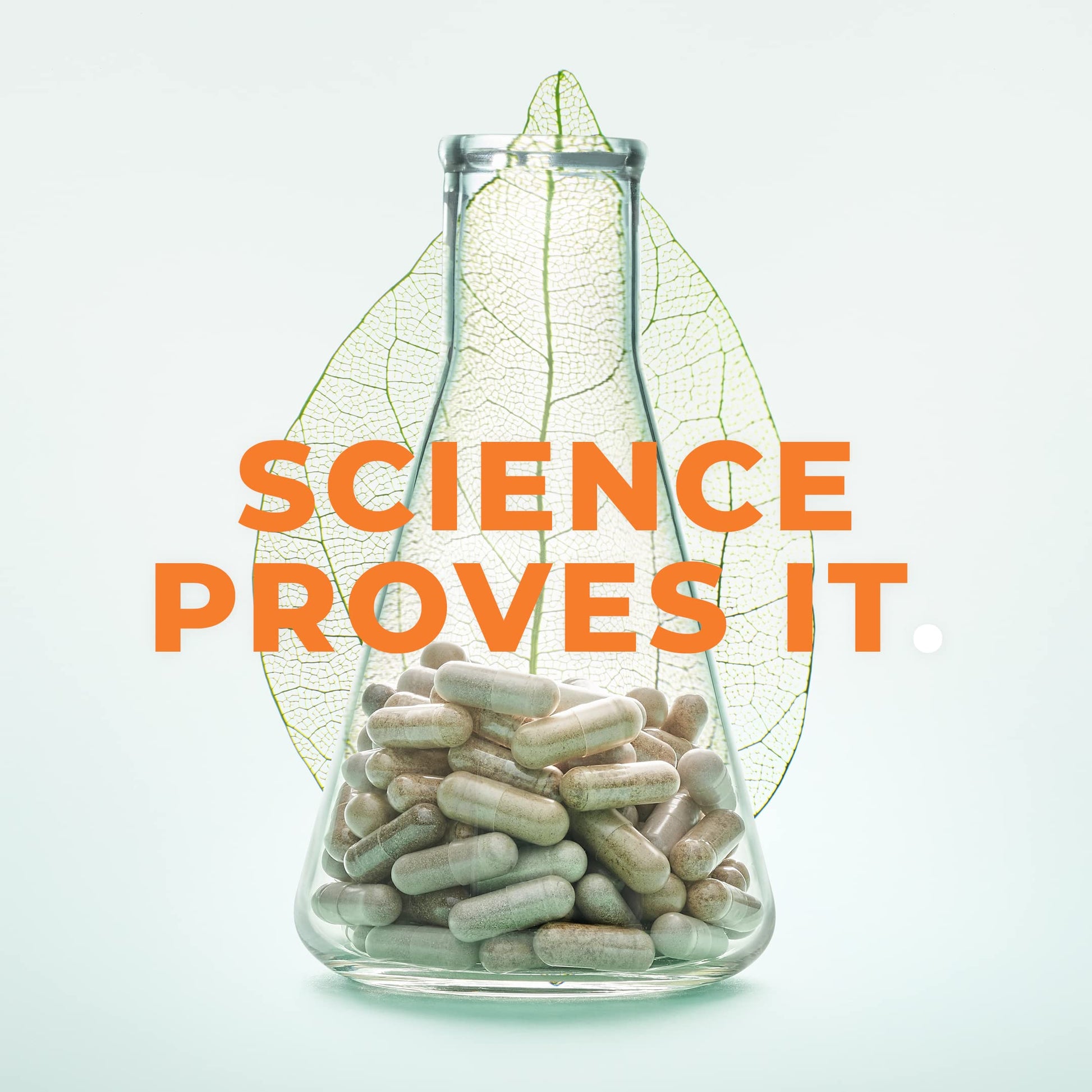 PreMense-T - PMS Relief Supplement - Ginger, Cramp Bark, Black Cohosh, Dong Quai, Chasteberry & Vitamin B6 LifeSeasons