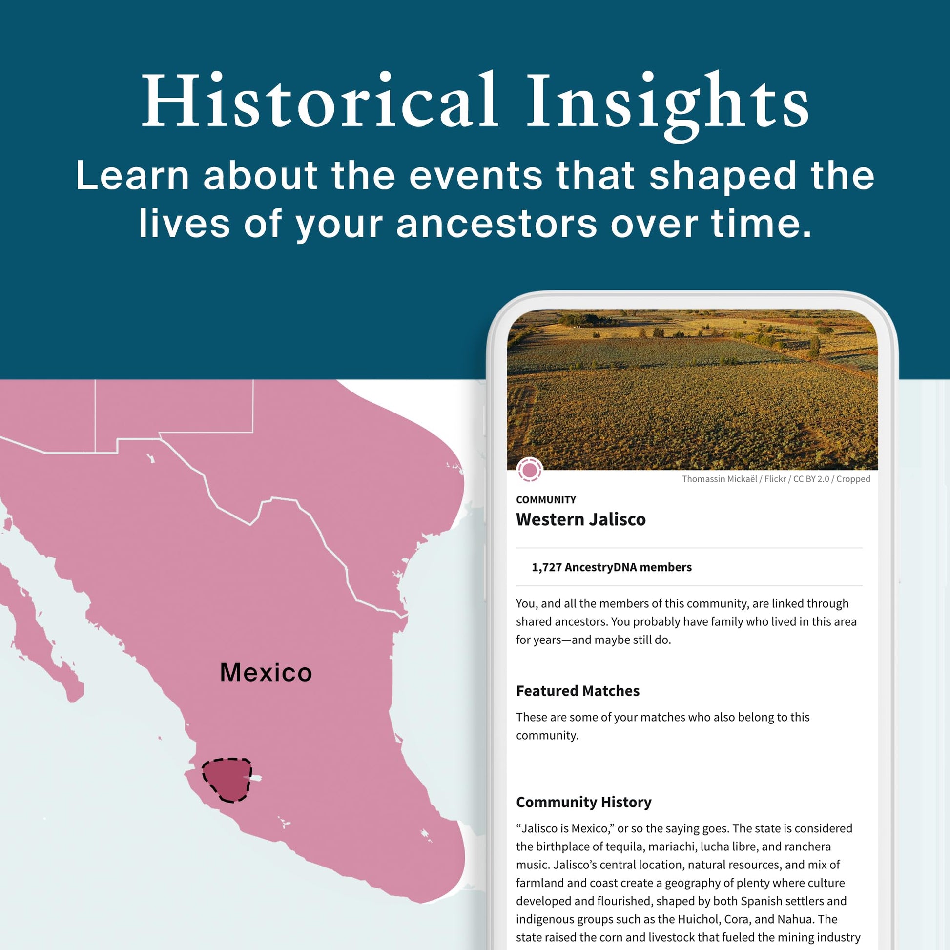 AncestryDNA Genetic Test Kit: Personalized Genetic Results, DNA Ethnicity Test, Origins AncestryDNA