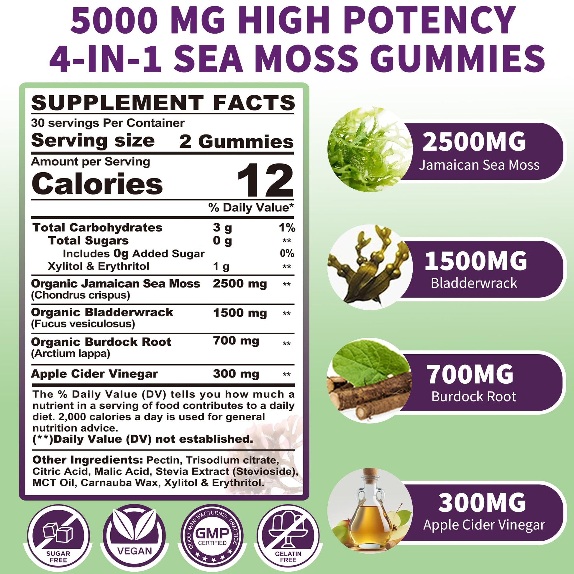 Sea Moss Supplement 5000mg, Sugar Free Sea Moss Gummies, Irish Sea Moss EnvyDeal