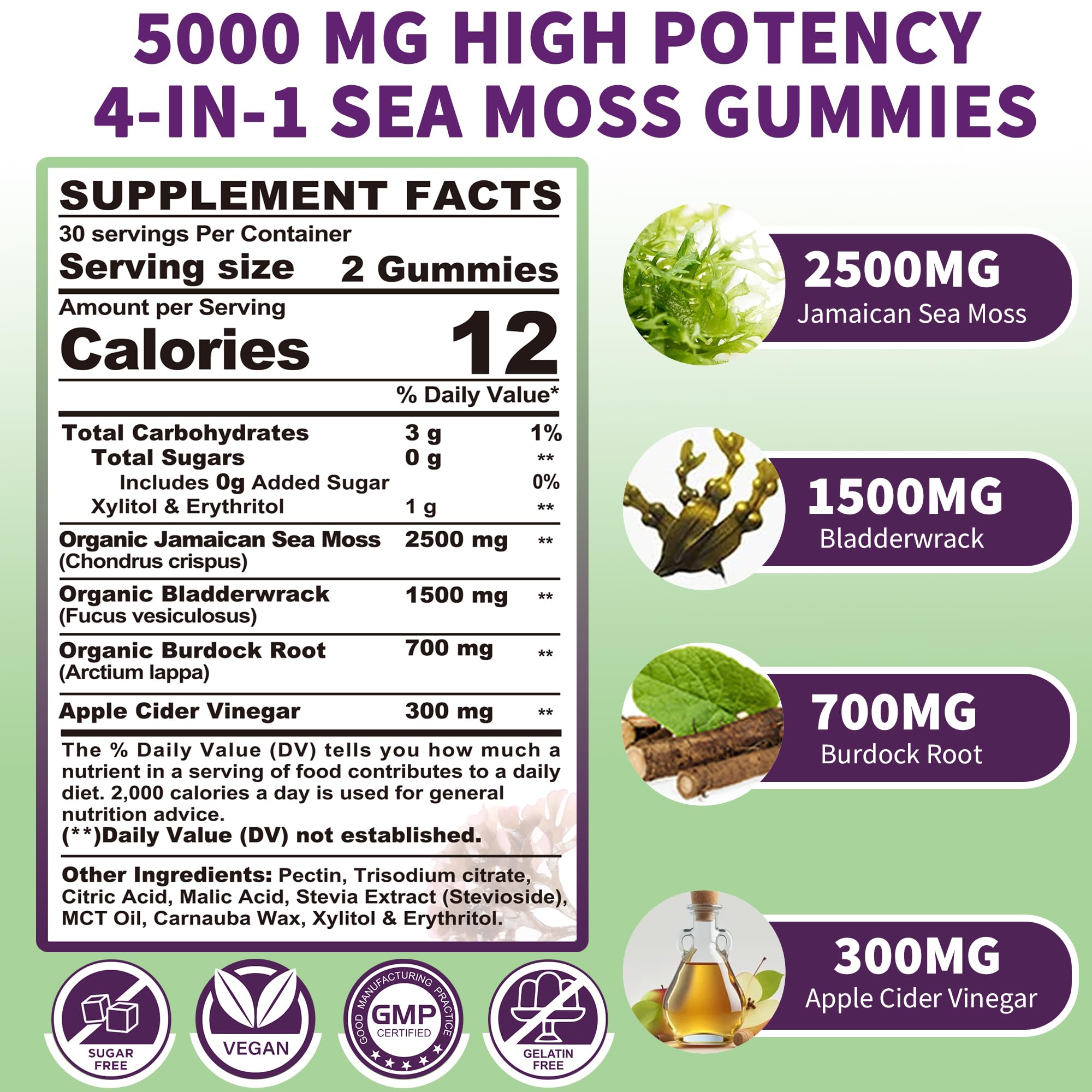 Sea Moss Supplement 5000mg, Sugar Free Sea Moss Gummies, Irish Sea Moss EnvyDeal