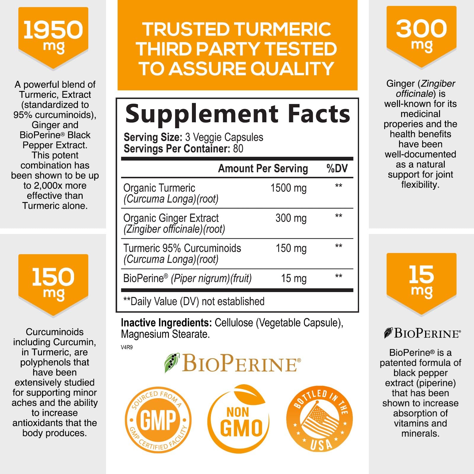 Turmeric Curcumin with BioPerine & Ginger 95% Standardized Curcuminoids 1950mg Nature's Nutrition