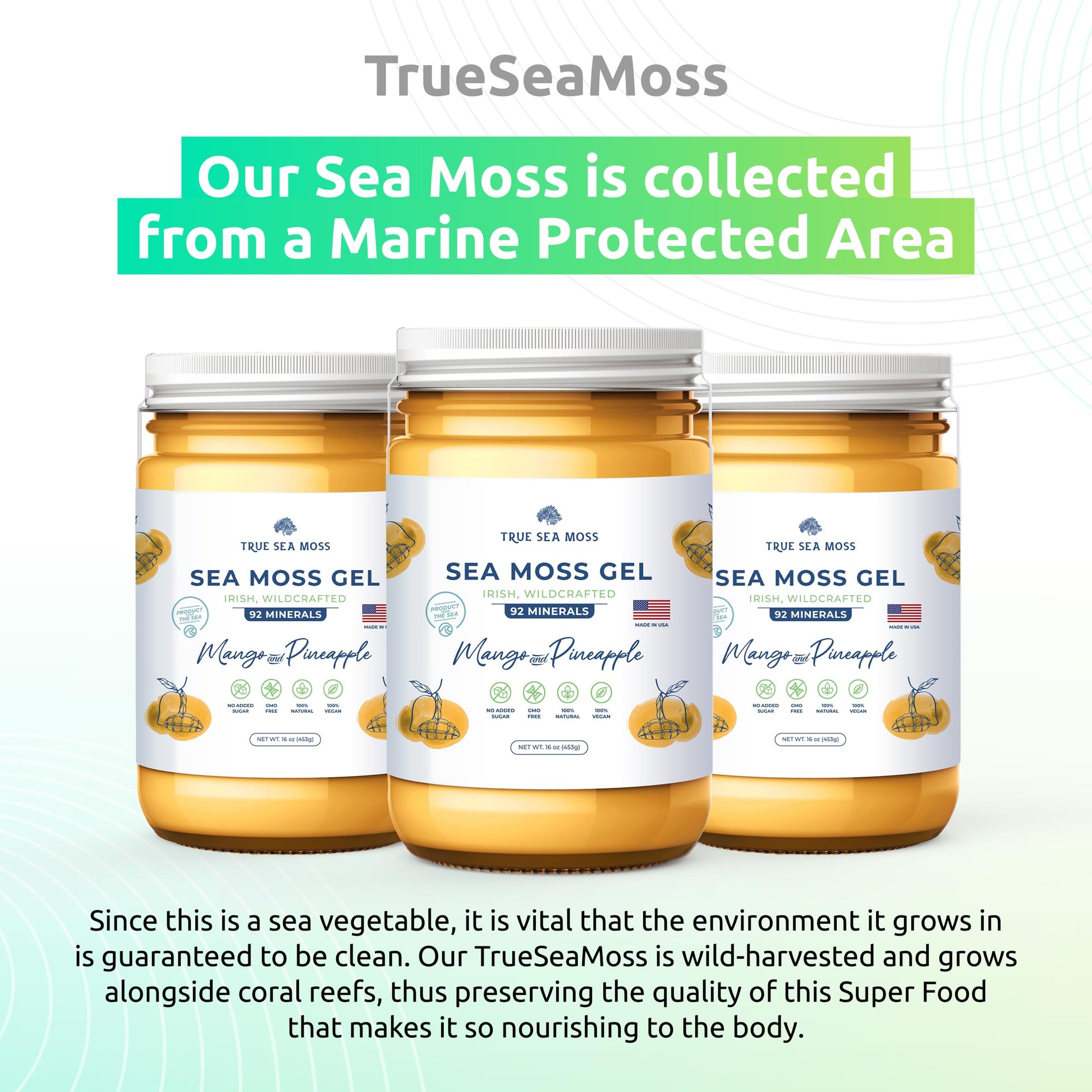 TrueSeaMoss Wildcrafted Irish Sea Moss Gel – Nutritious Organic Raw Seamoss Rich TrueSeaMoss