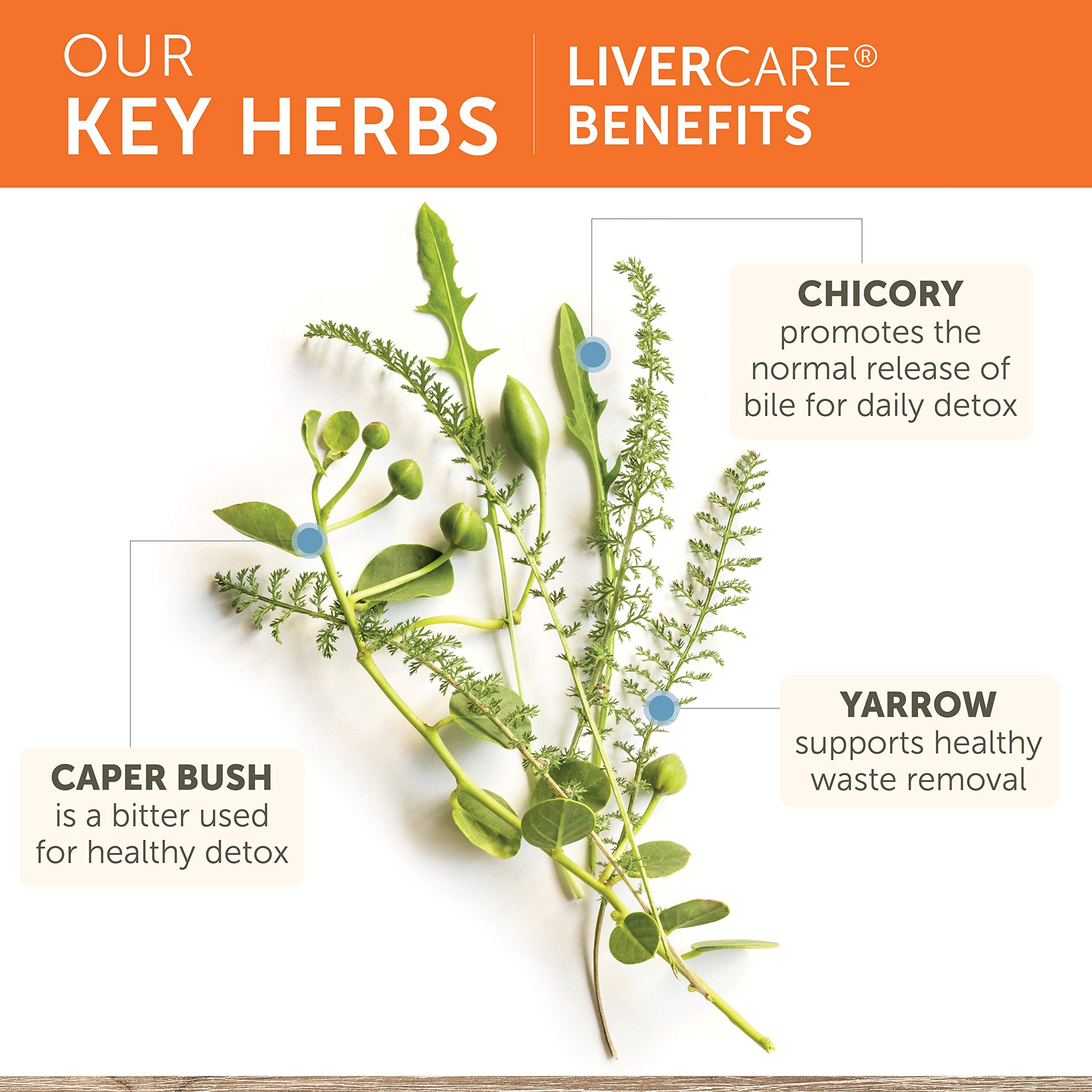 Himalaya LiverCare for Liver Cleanse and Liver Detox, 375 mg, 180 Capsules Himalaya