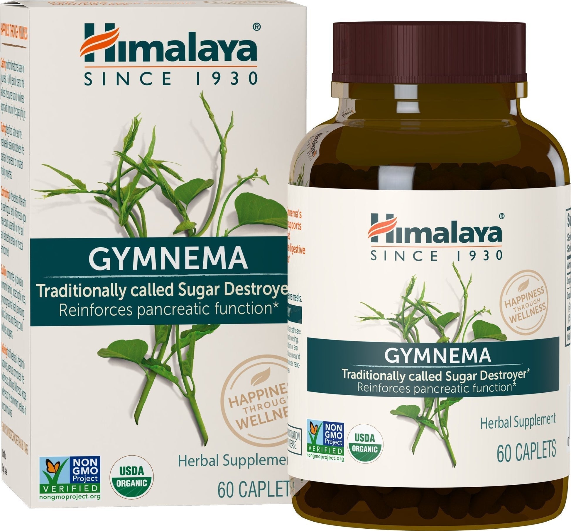 Himalaya Organic Gymnema Sylvestre for Glucose Metabolism, 700 mg Himalaya