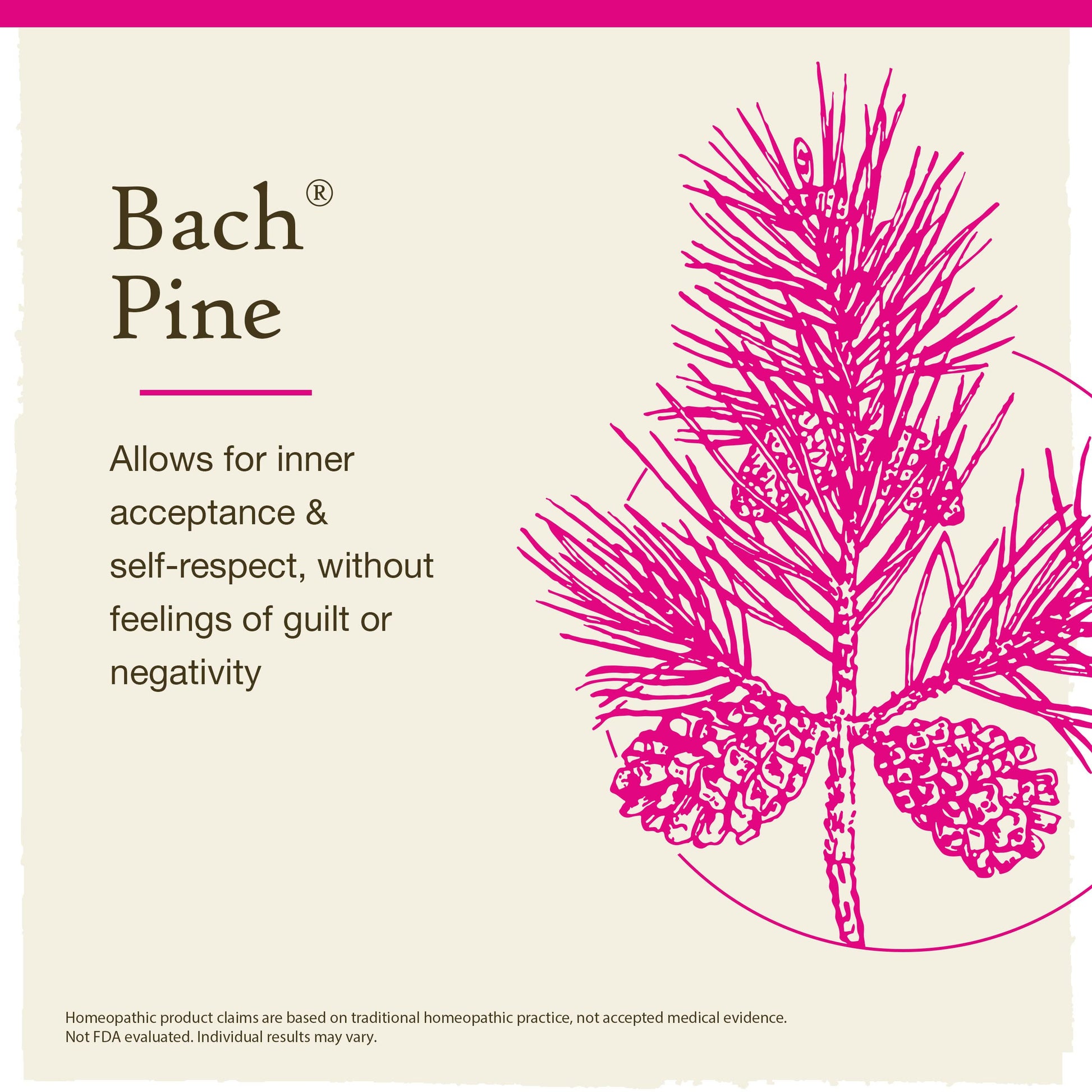 Bach Original Flower Remedies, Pine for Self Respect, Natural Homeopathic Flower Essence Bach