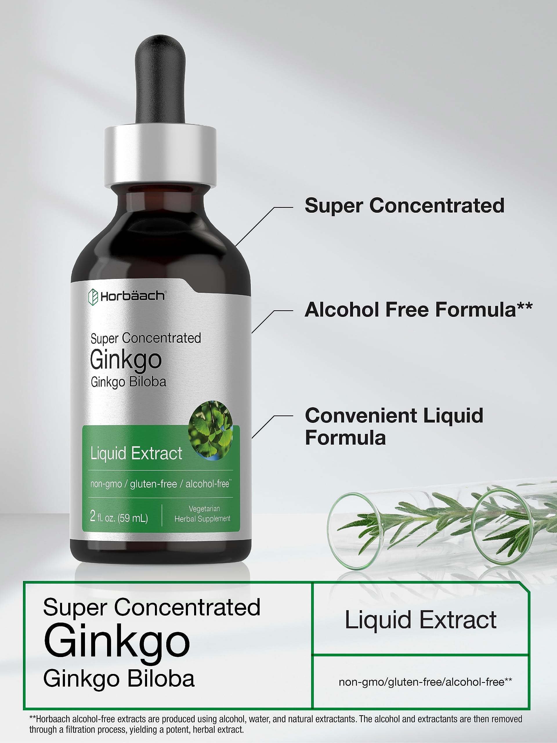 Ginkgo Biloba Extract Liquid 2 fl oz | Alcohol-Free Herb Supplement | Vegetarian Horbäach