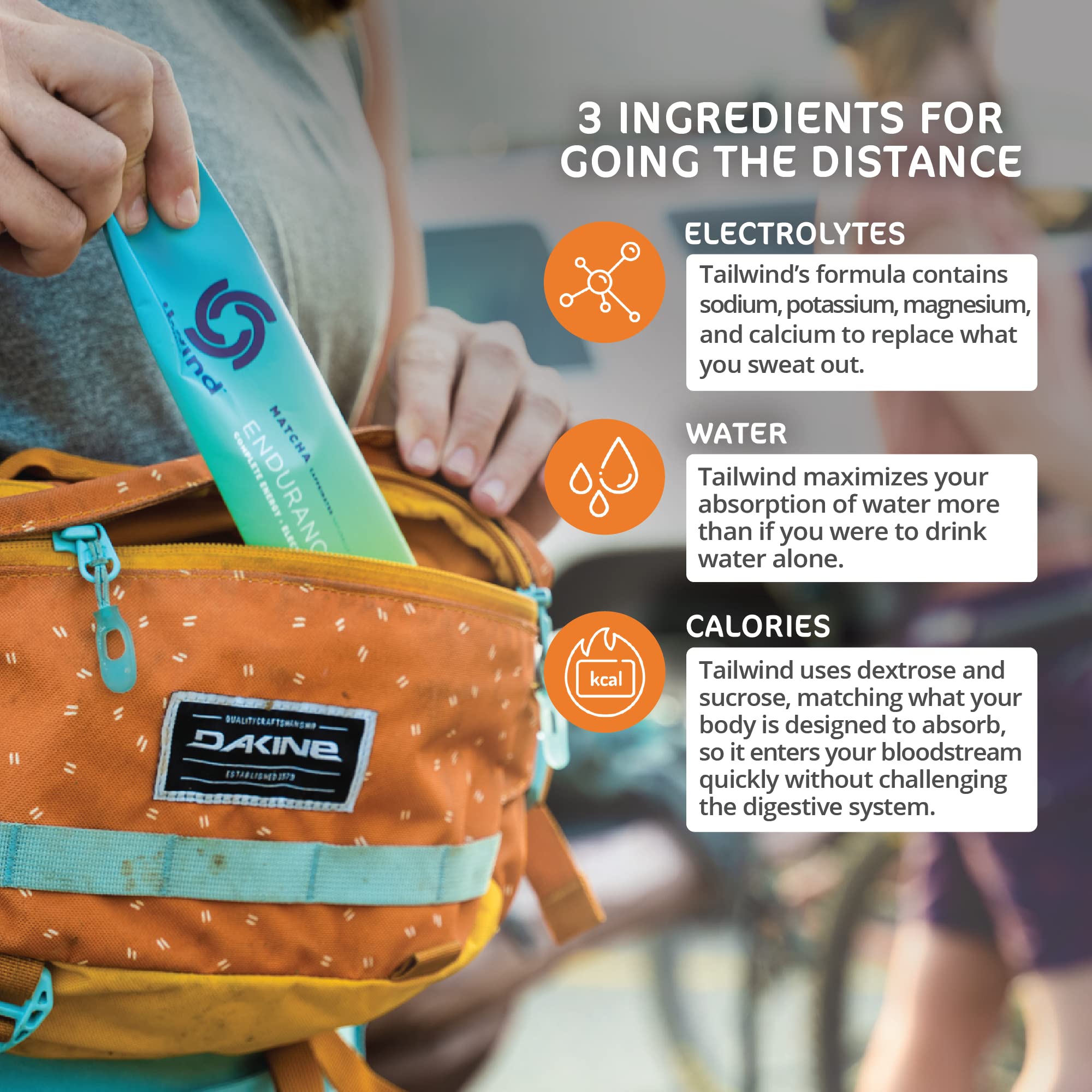 Tailwind Grab-and-Go Endurance Fuel Single Serve Assorted Flavors