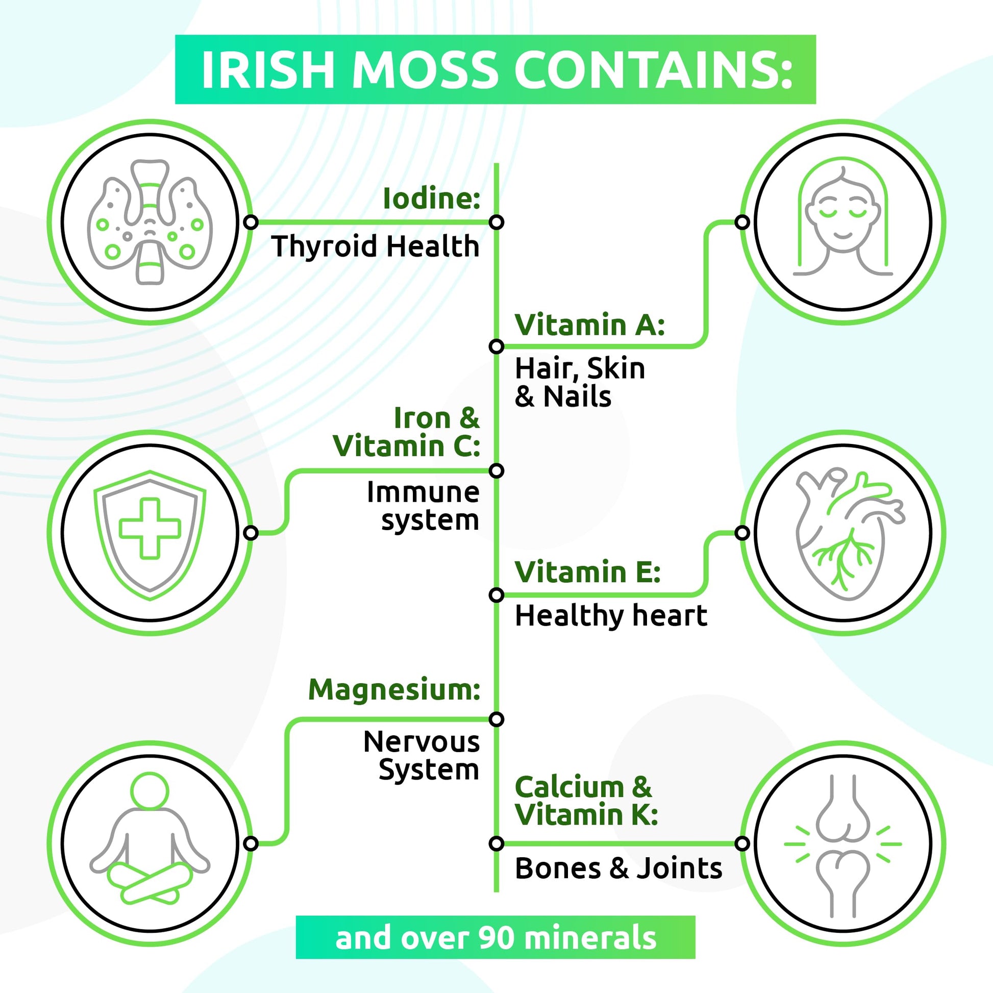 TrueSeaMoss Wildcrafted Irish Sea Moss Gel – Nutritious Raw Seamoss Rich in Minerals TrueSeaMoss