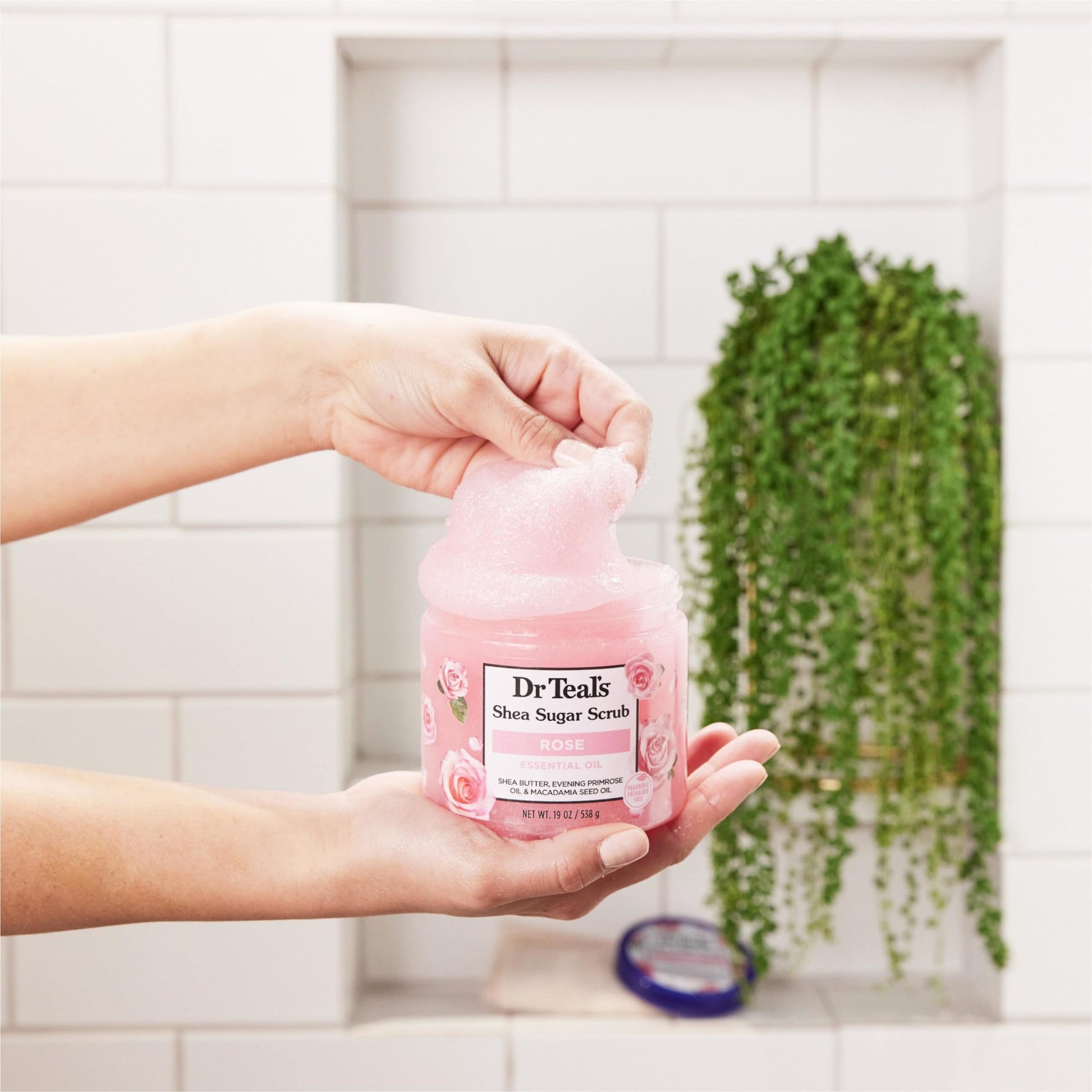 Dr Teal's Shea Sugar Body Scrub, Rose with Essential Oil, 19 oz (Pack of 3) Packaging May Dr Teal's