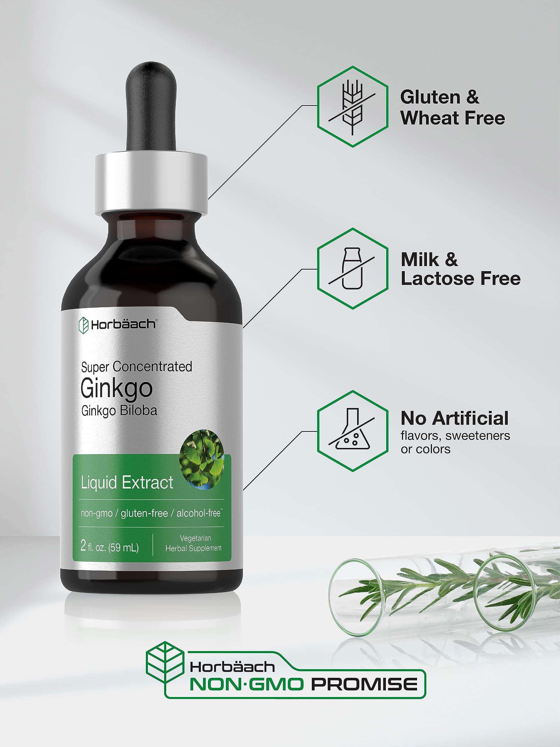 Ginkgo Biloba Extract Liquid 2 fl oz | Alcohol-Free Herb Supplement | Vegetarian Horbäach