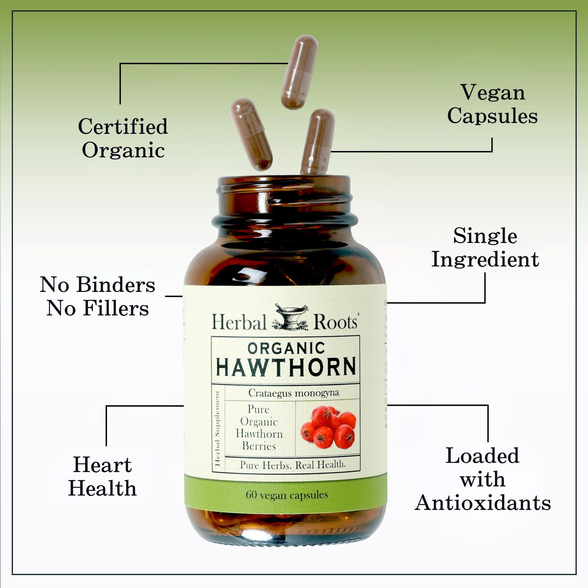 Herbal Roots Organic Hawthorn Berry Capsules | Extra Strength 1,200mg per Serving Herbal Roots