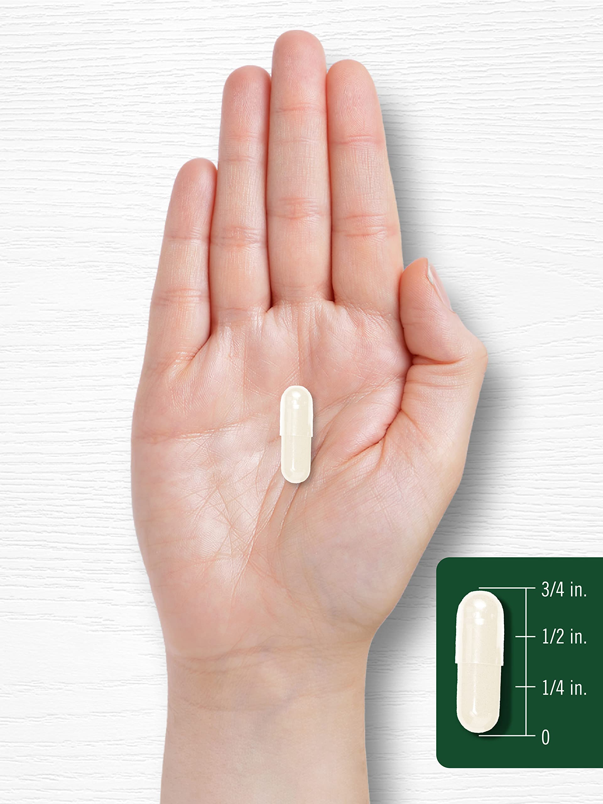 Carlyle Grapefruit Seed Extract | 500 mg 120 Capsules | Maximum Strength | Non-GMO Carlyle