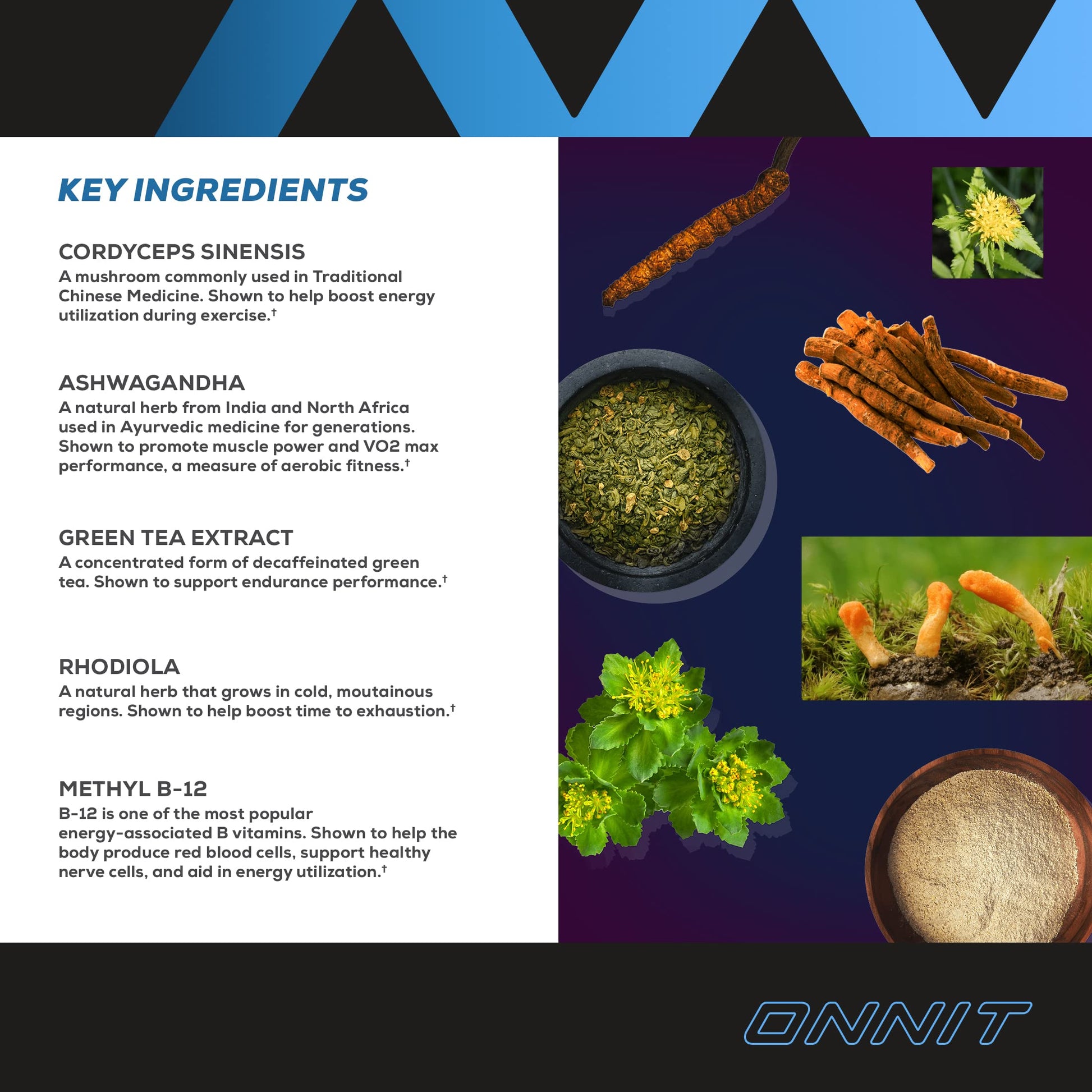 Onnit Shroom Tech SPORT: Clinically Studied Preworkout Supplement with Cordyceps ONNIT