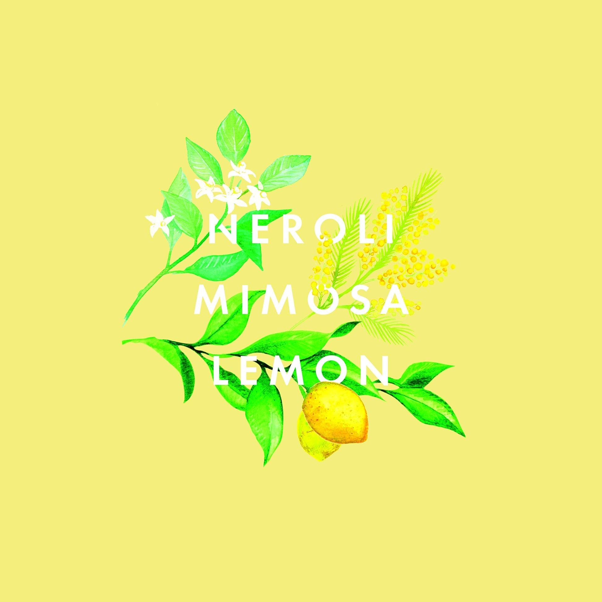 NEOM - Happiness Essential Oil Blend, 10ml | Neroli, Mimosa & Lemon | Scent to Make You Happy Range Neom