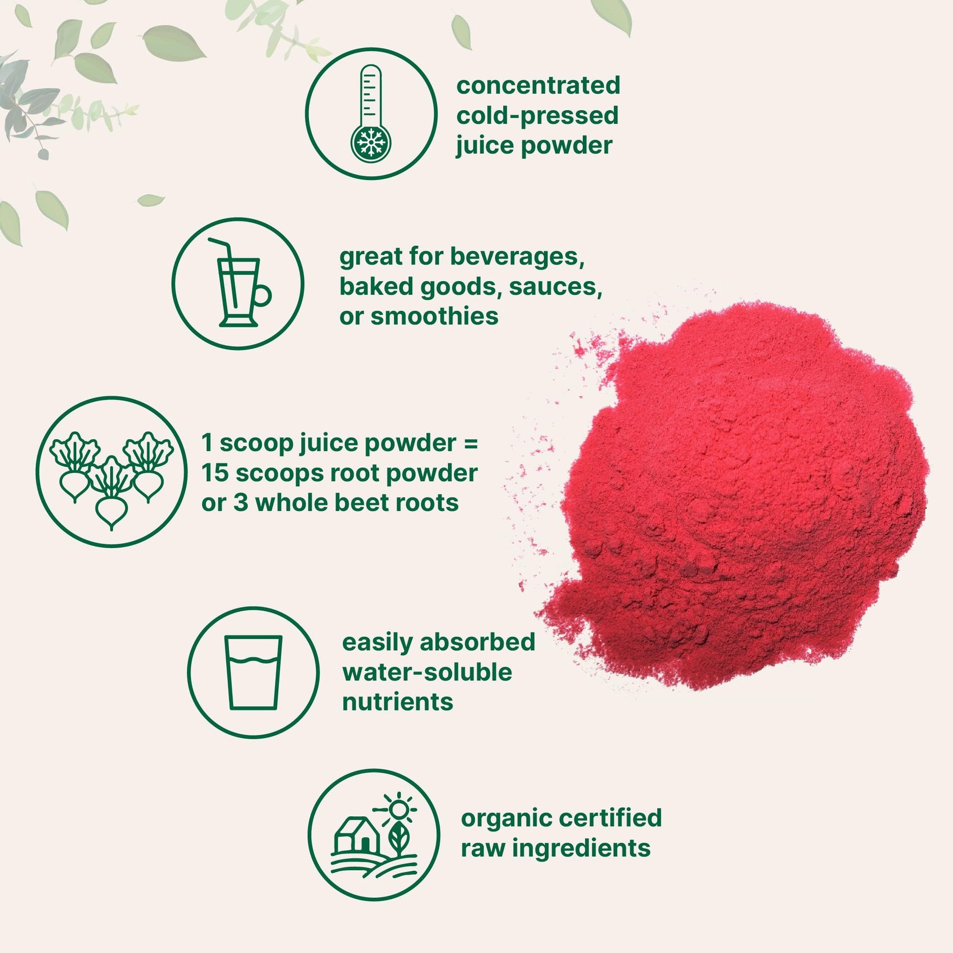 Micro Ingredients Organic Beet Root Powder, 1 Pound, Cold Pressed and Water Soluble Micro Ingredients