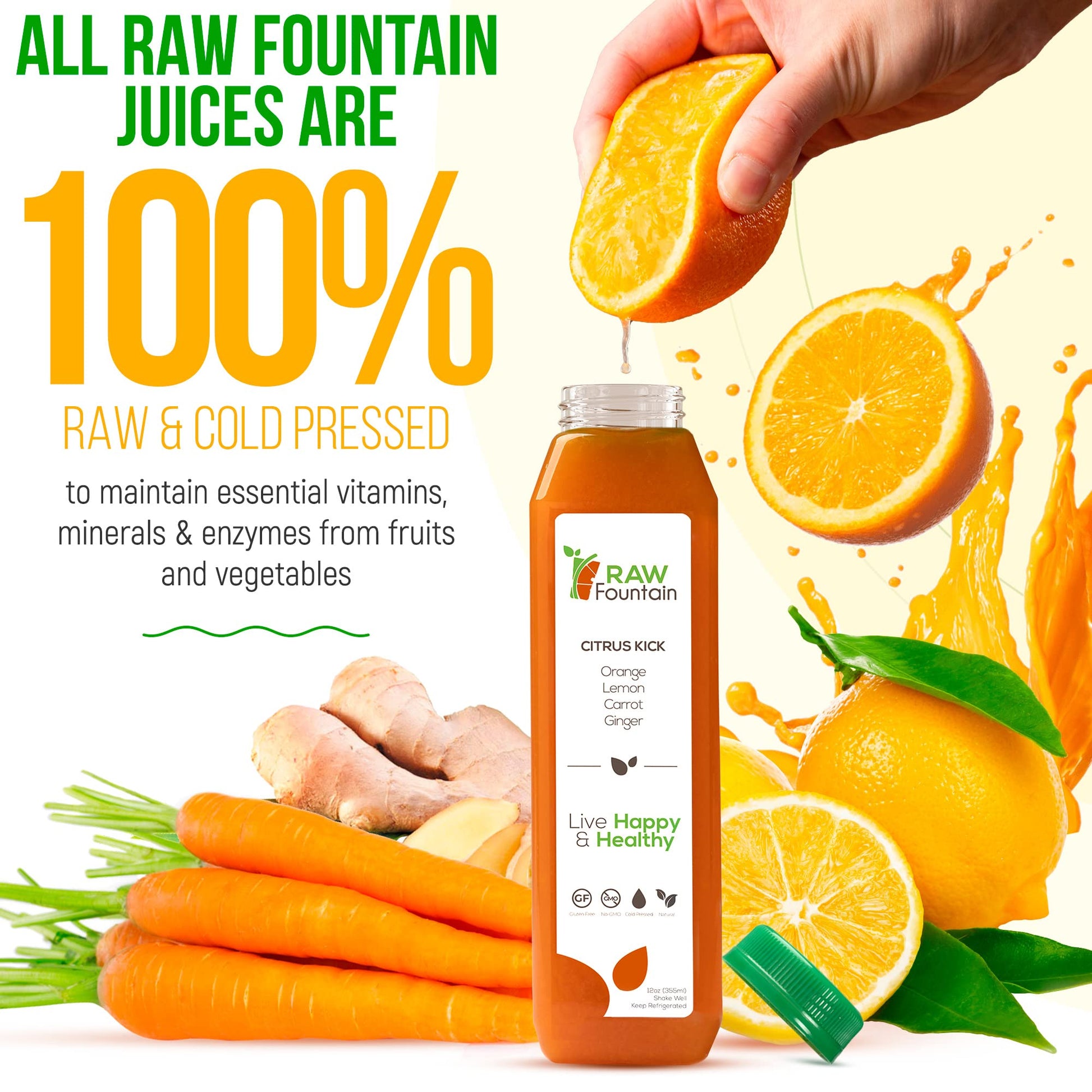 Raw Fountain 1 Day Juice Cleanse, All Natural Detox Cleanse, Cold Presssed Fruit Raw Fountain