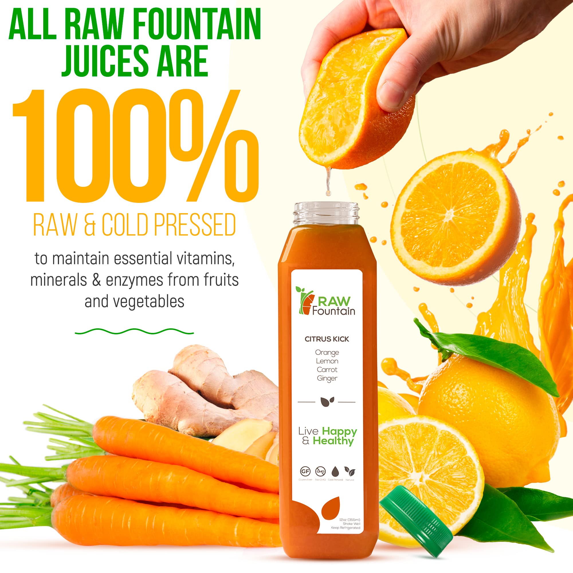 Raw Fountain 1 Day Juice Cleanse, All Natural Detox Cleanse, Cold Presssed Fruit Raw Fountain