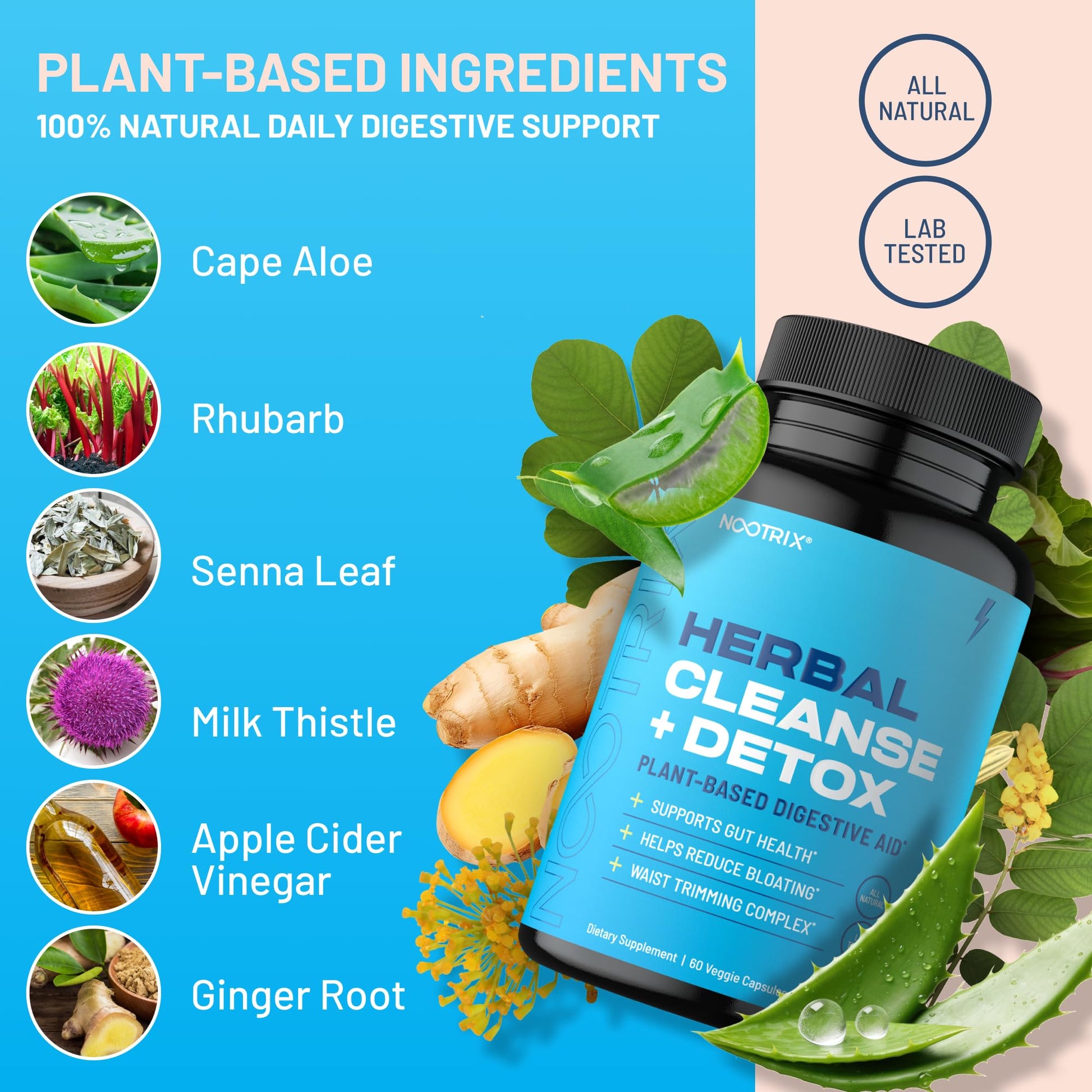 Nootrix Herbal Cleanse + Detox Cleanse for Weight Loss Products | 15 Day Gut Cleanse Nootrix