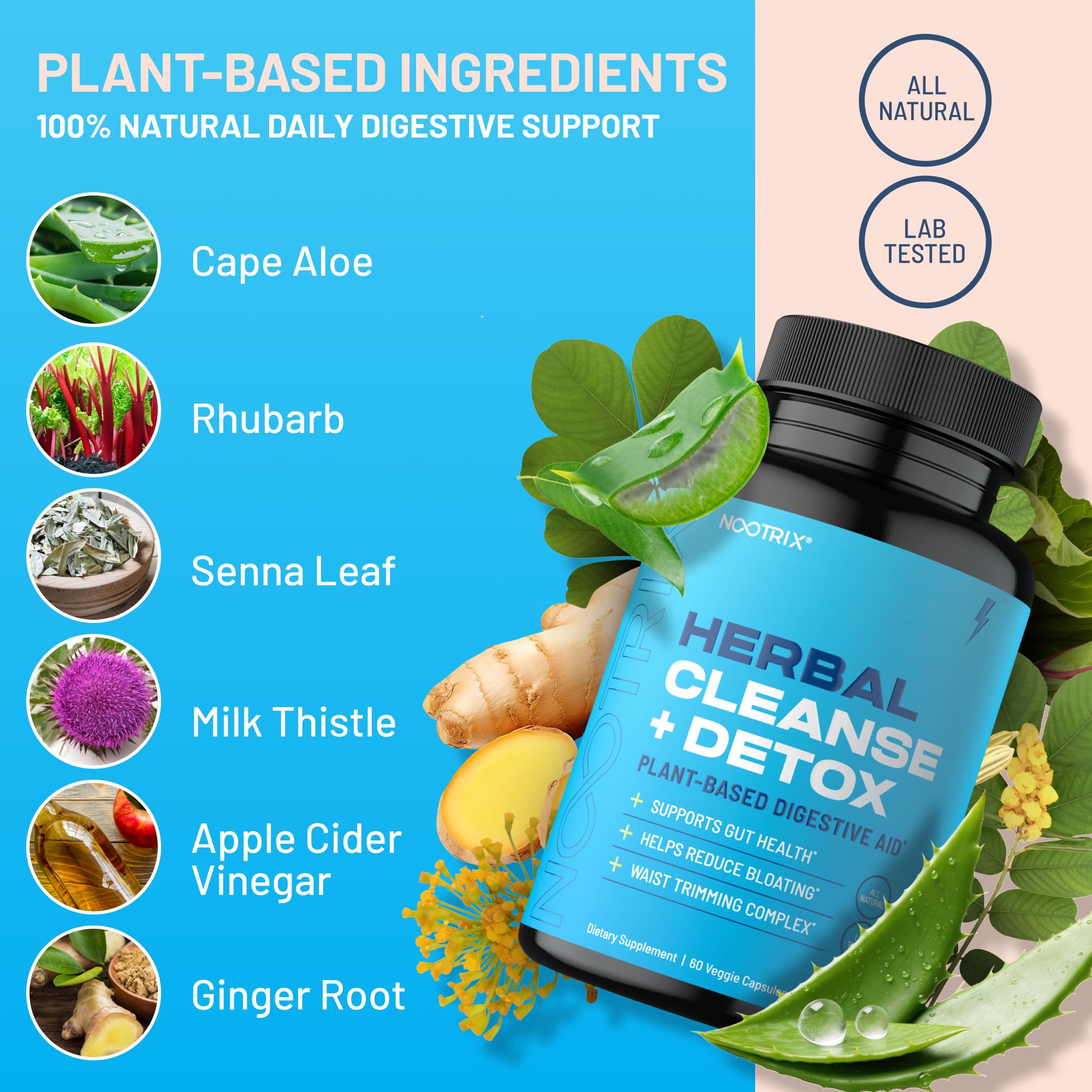 Nootrix Herbal Cleanse + Detox Cleanse for Weight Loss Products | 15 Day Gut Cleanse Nootrix
