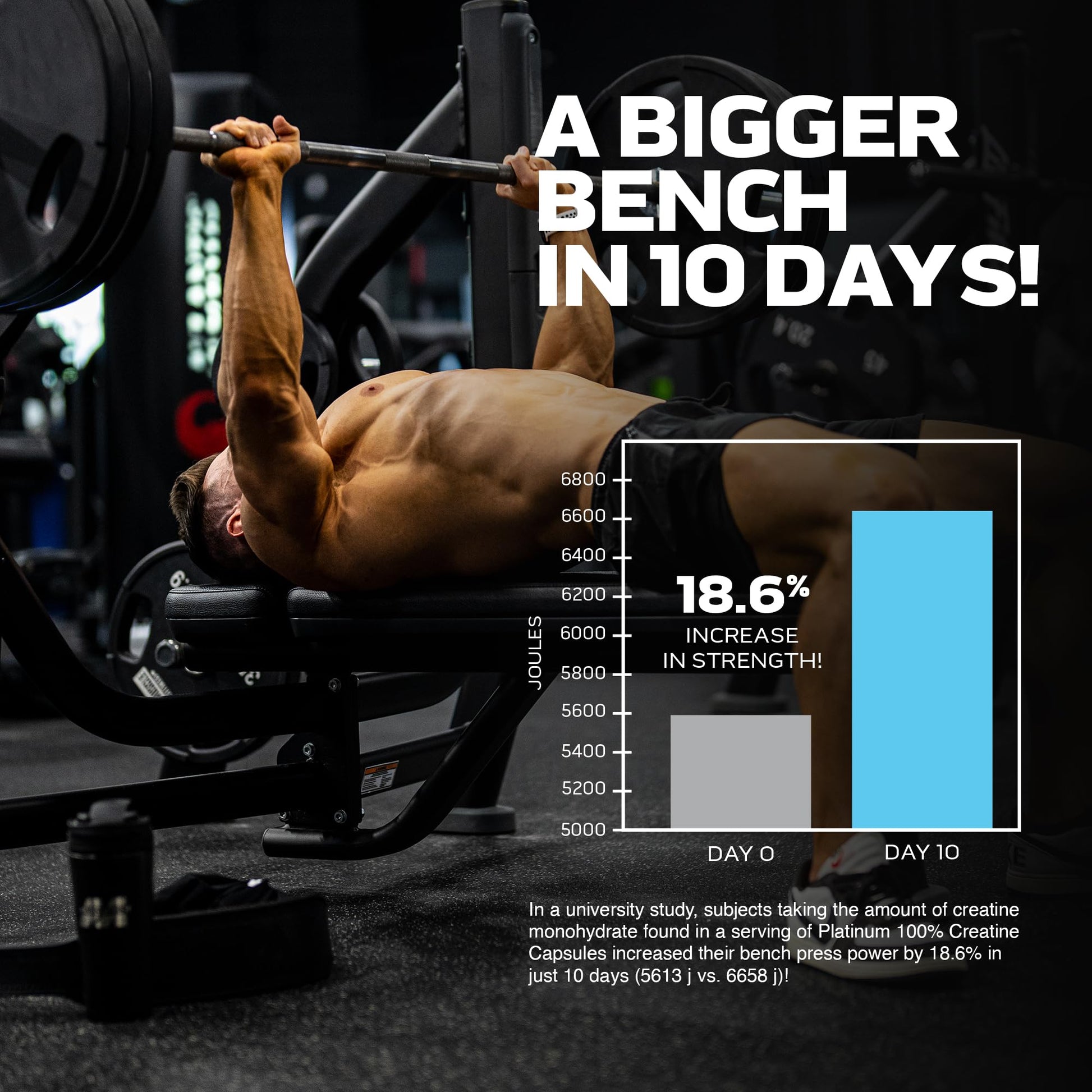 MuscleTech Platinum 100% Creatine Pills | Creatine Monohydrate Pill| | Muscle Recovery MuscleTech