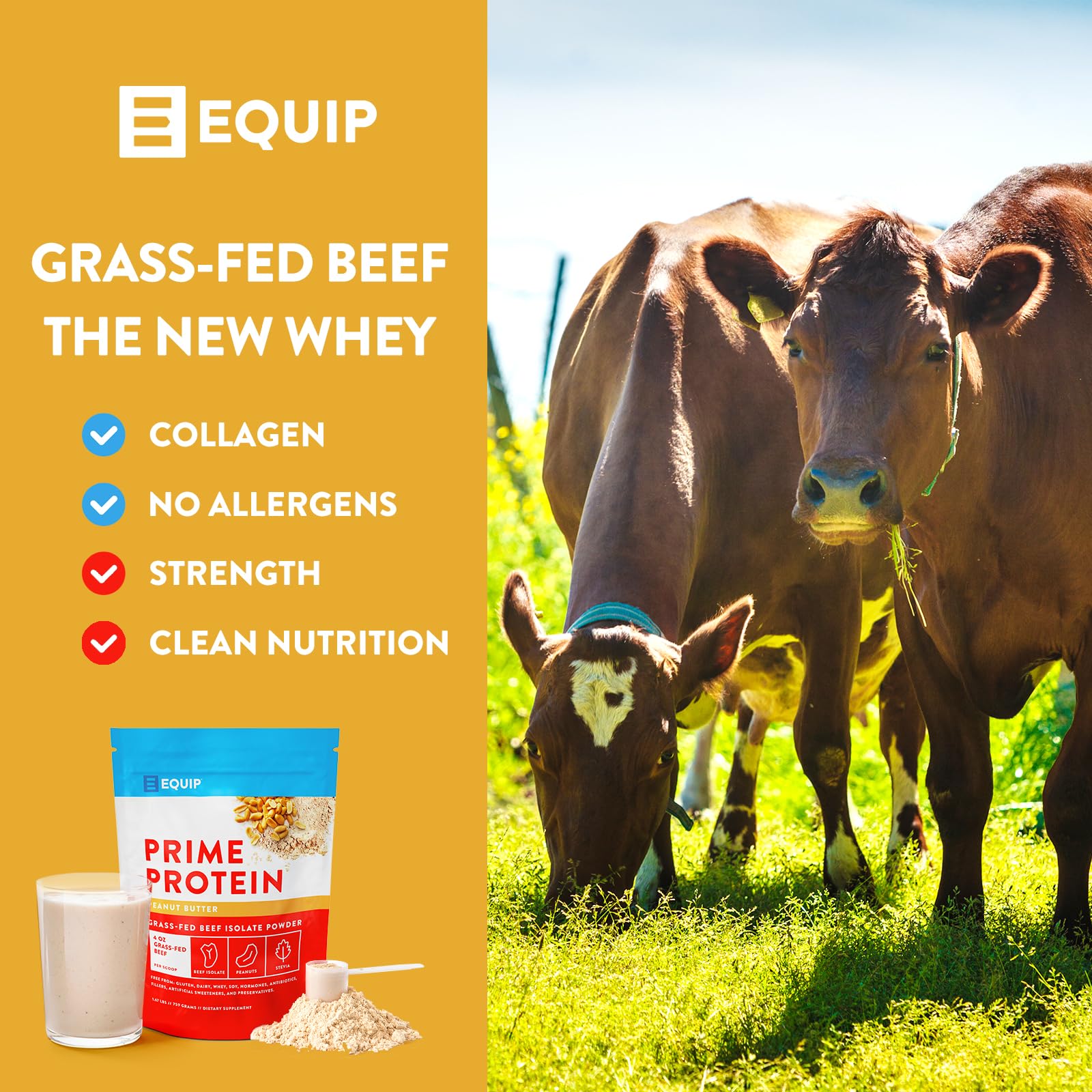 Equip Foods Prime Protein - Grass Fed Beef Protein Powder Isolate - Paleo and Keto Friendly Equip