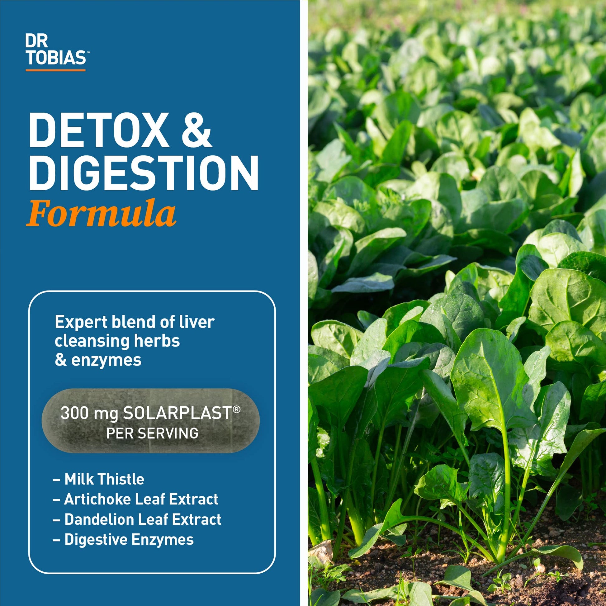 Dr. Tobias Liver 21 Day Cleanse, Herbal Liver Detox Cleanse with Solarplast, Artichoke Extra Dr. Tobias