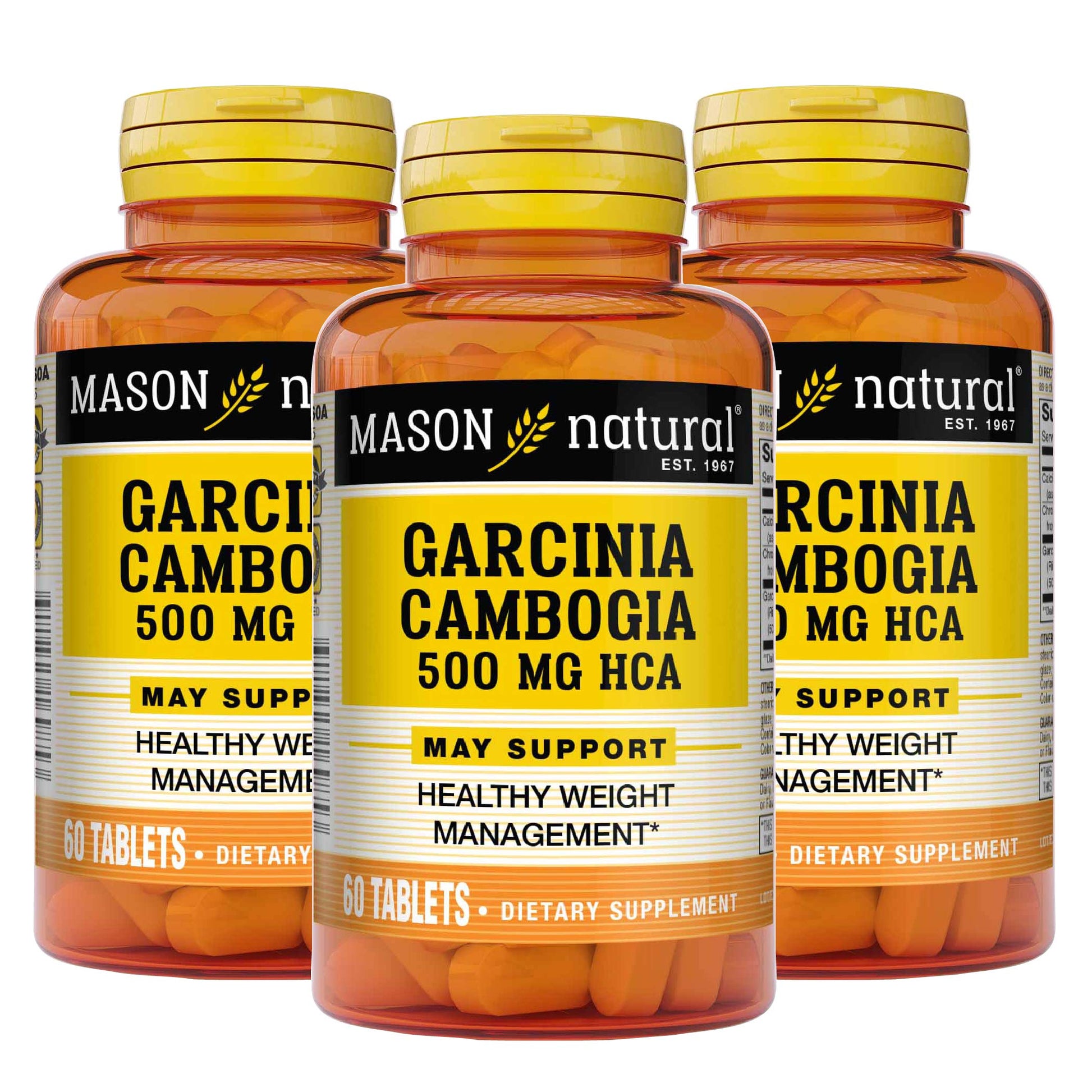 MASON NATURAL Garcinia Cambogia 500 mg HCA with Calcium and Chromium 