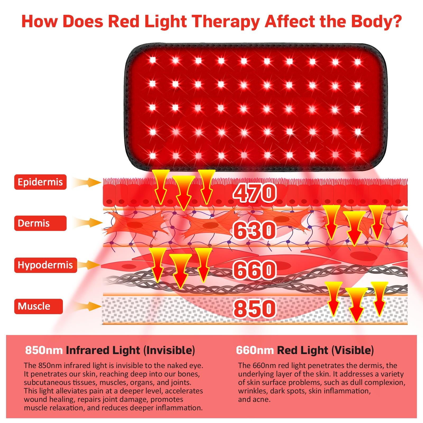 Red Light Therapy Belt, Infrared Light Therapy for Body, Wearable Wrap with Timer GMOWNW