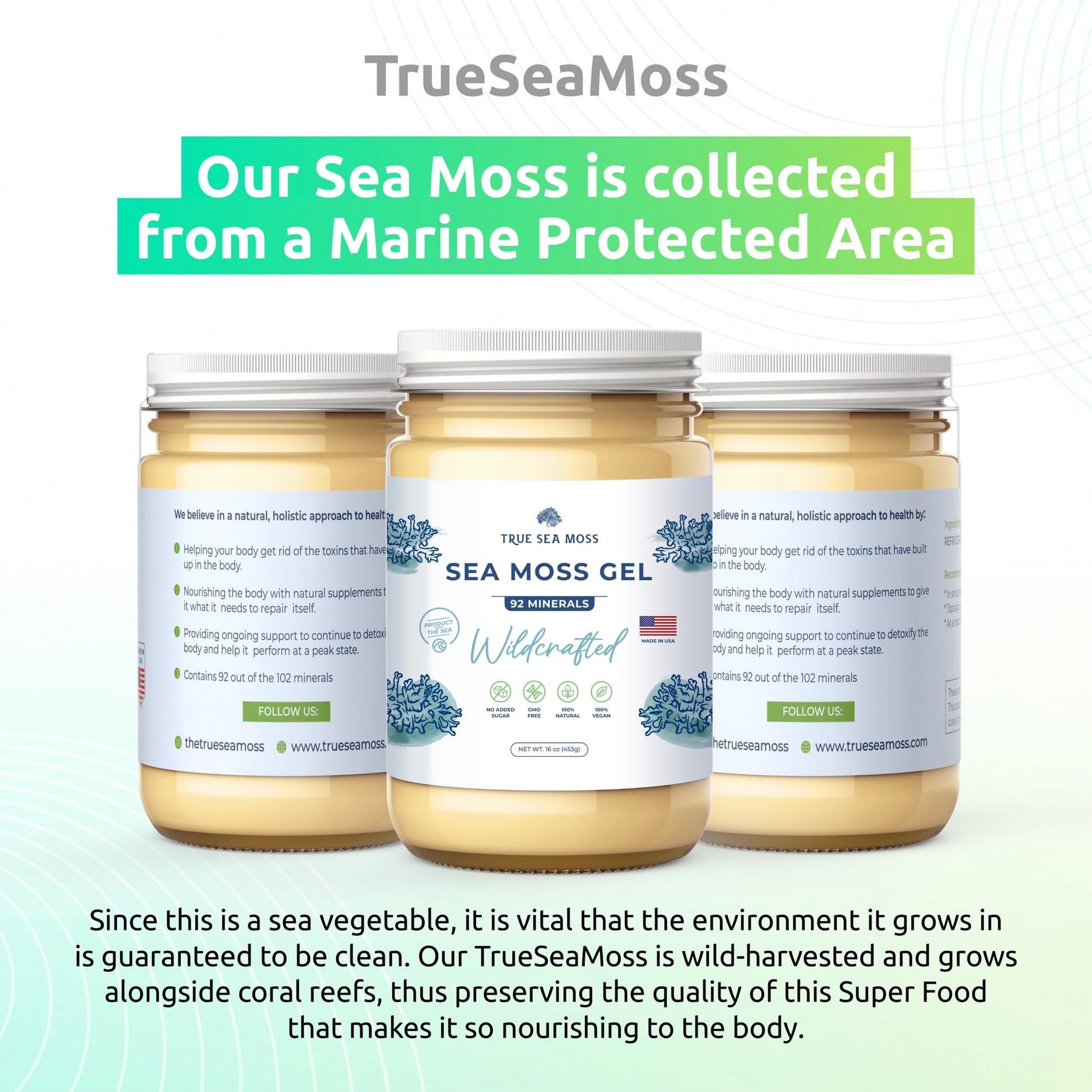 TrueSeaMoss Wildcrafted Irish Sea Moss Gel – Nutritious Raw Seamoss Rich in Minerals TrueSeaMoss