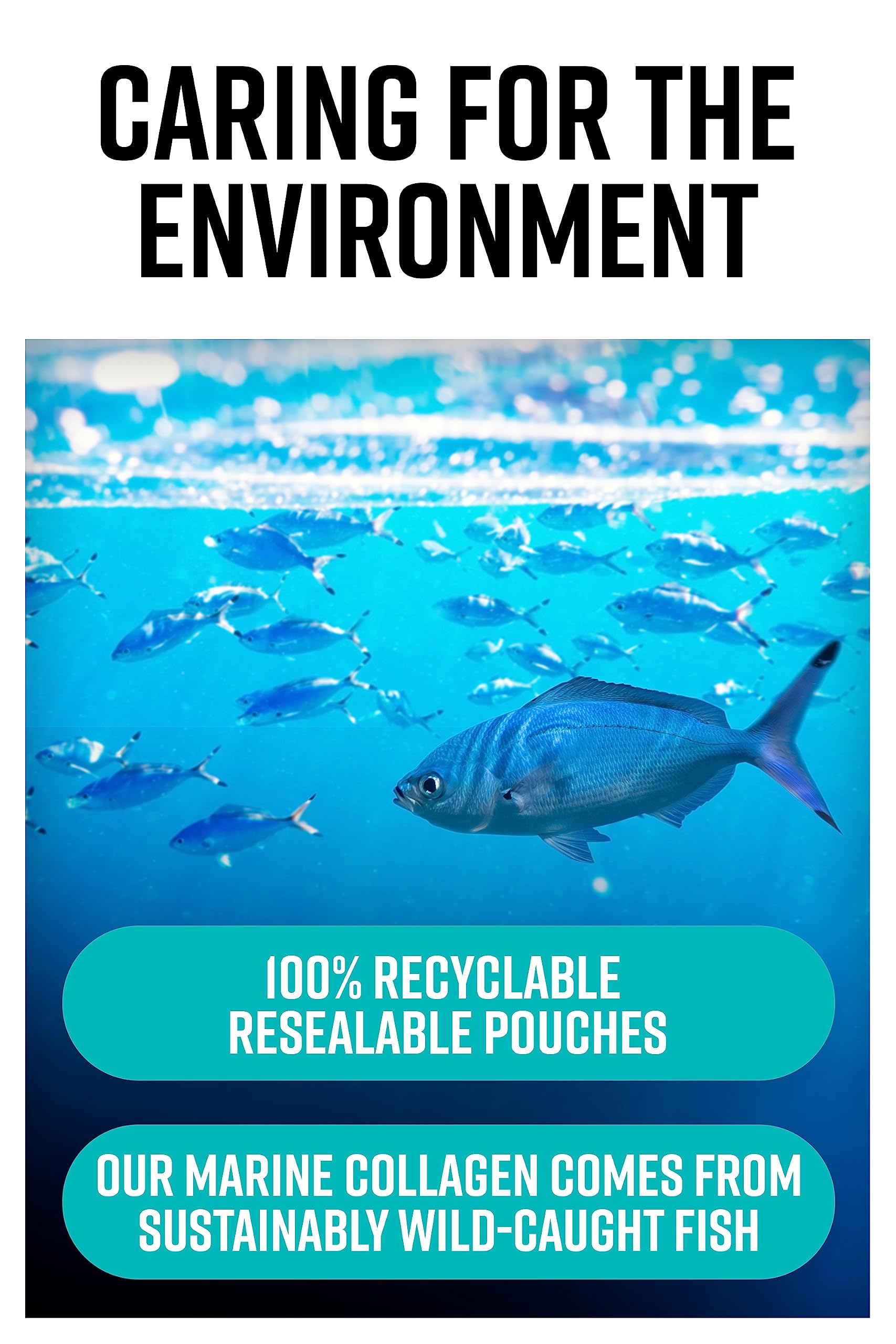 Hunter & Gather Marine Collagen Powder 300g | Pure Unflavoured Premium Hydrolysed Wild Caught Marine Collagen Hunter & Gather