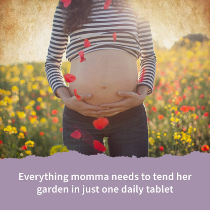 Garden of Life Organics Prenatal Vitamin: Folate for Energy & Healthy Fetal Development & Vitamin D