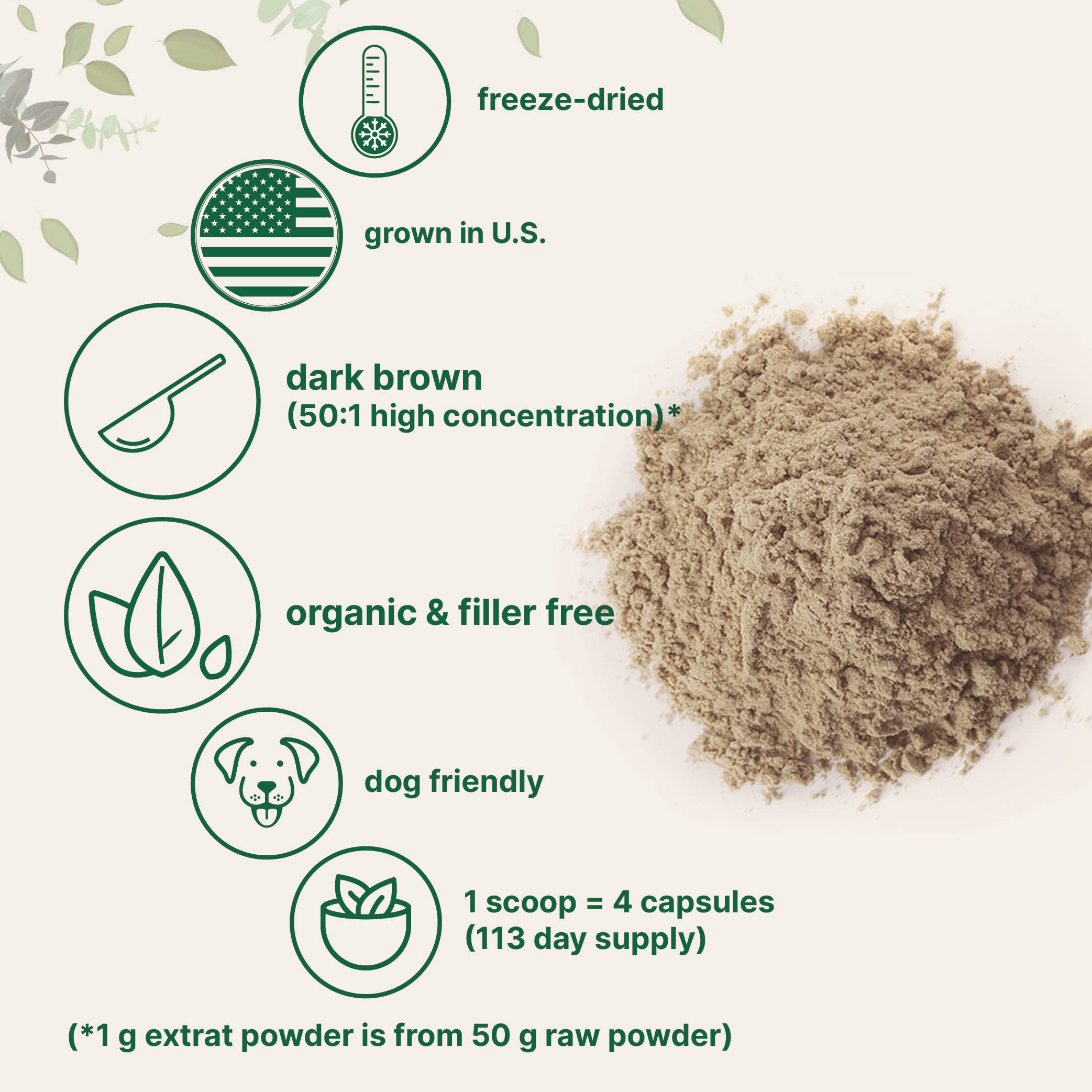 Organic Turkey Tail Mushroom Powder (50:1 Extract), 8 Ounce | Sustainably US Grown Micro Ingredients