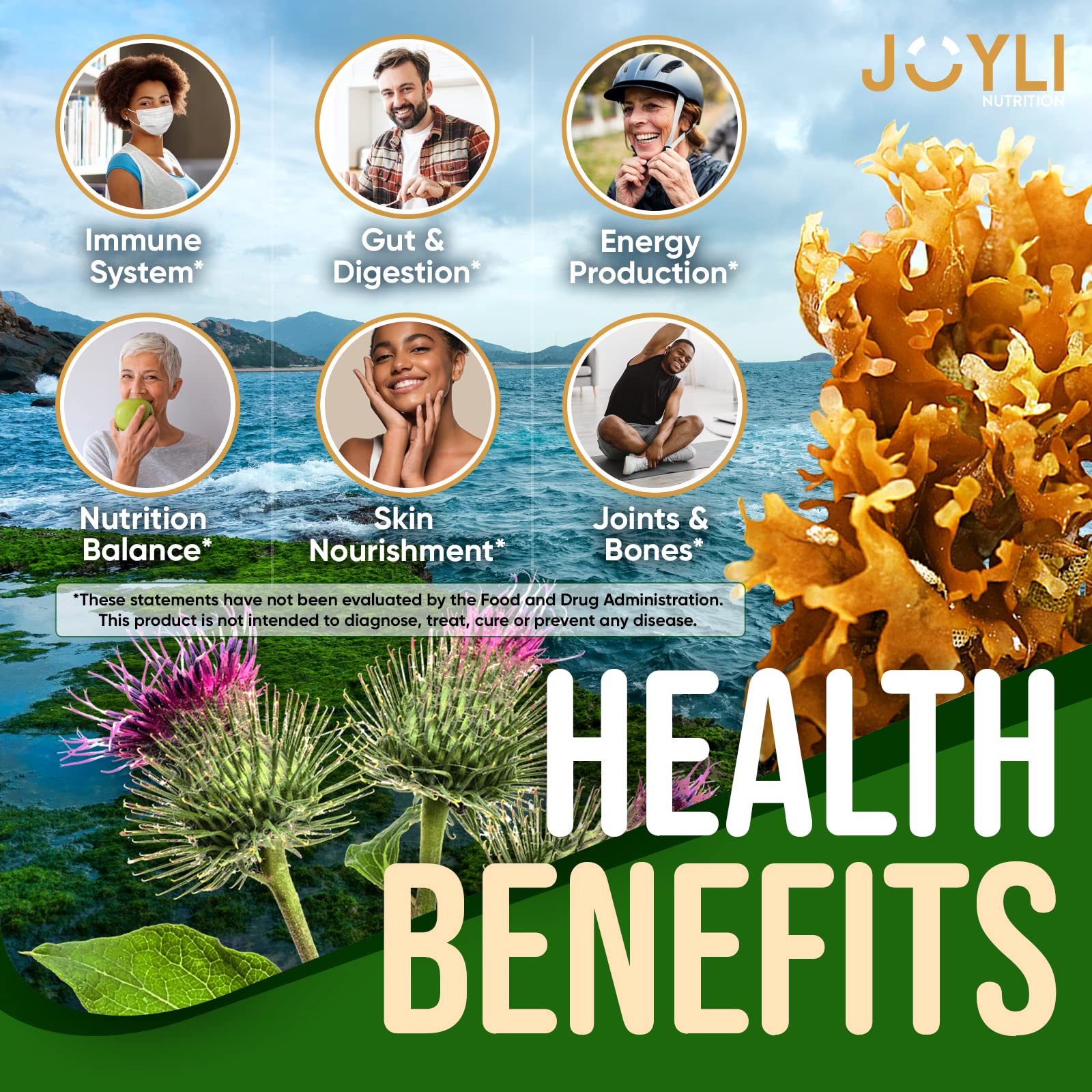 Sea Moss Gummies - Irish Seamoss Gummies for Adults & Kids - Advanced Superfood JOYLI Nutrition