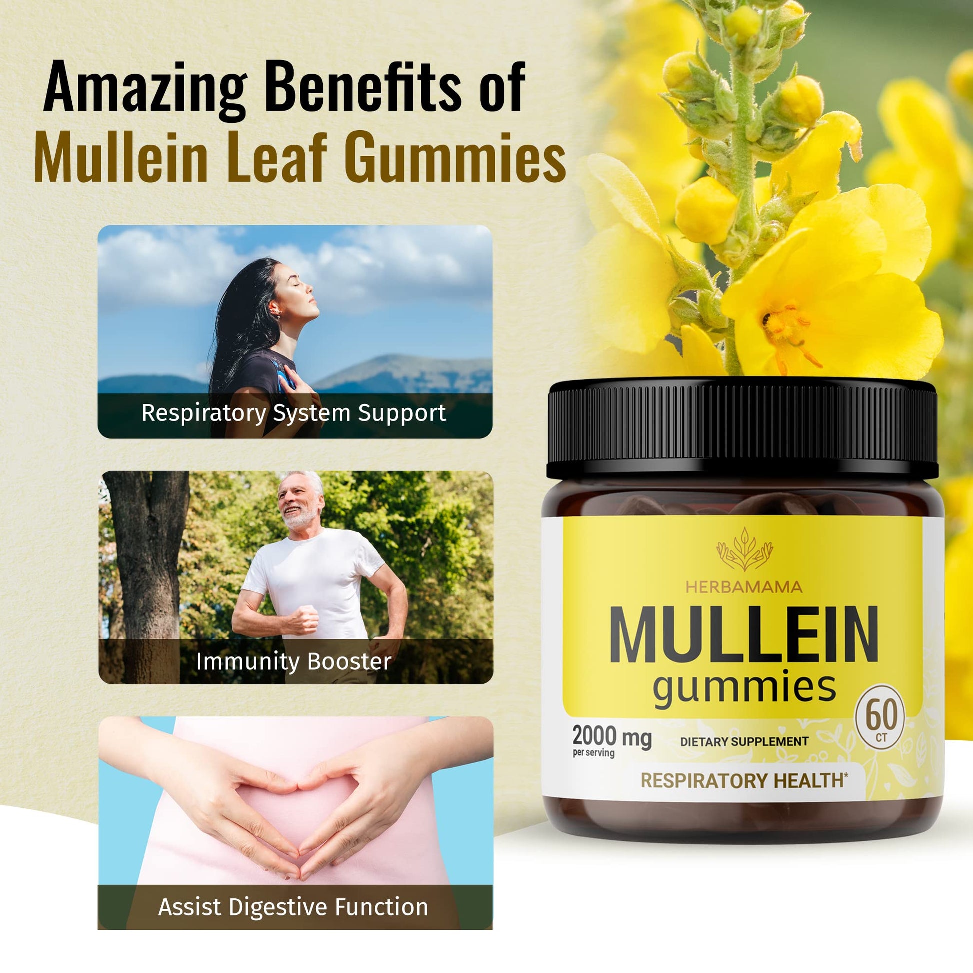 HERBAMAMA Mullein Gummies - Mullein Leaf Dietary Supplement for Respiratory HERBAMAMA
