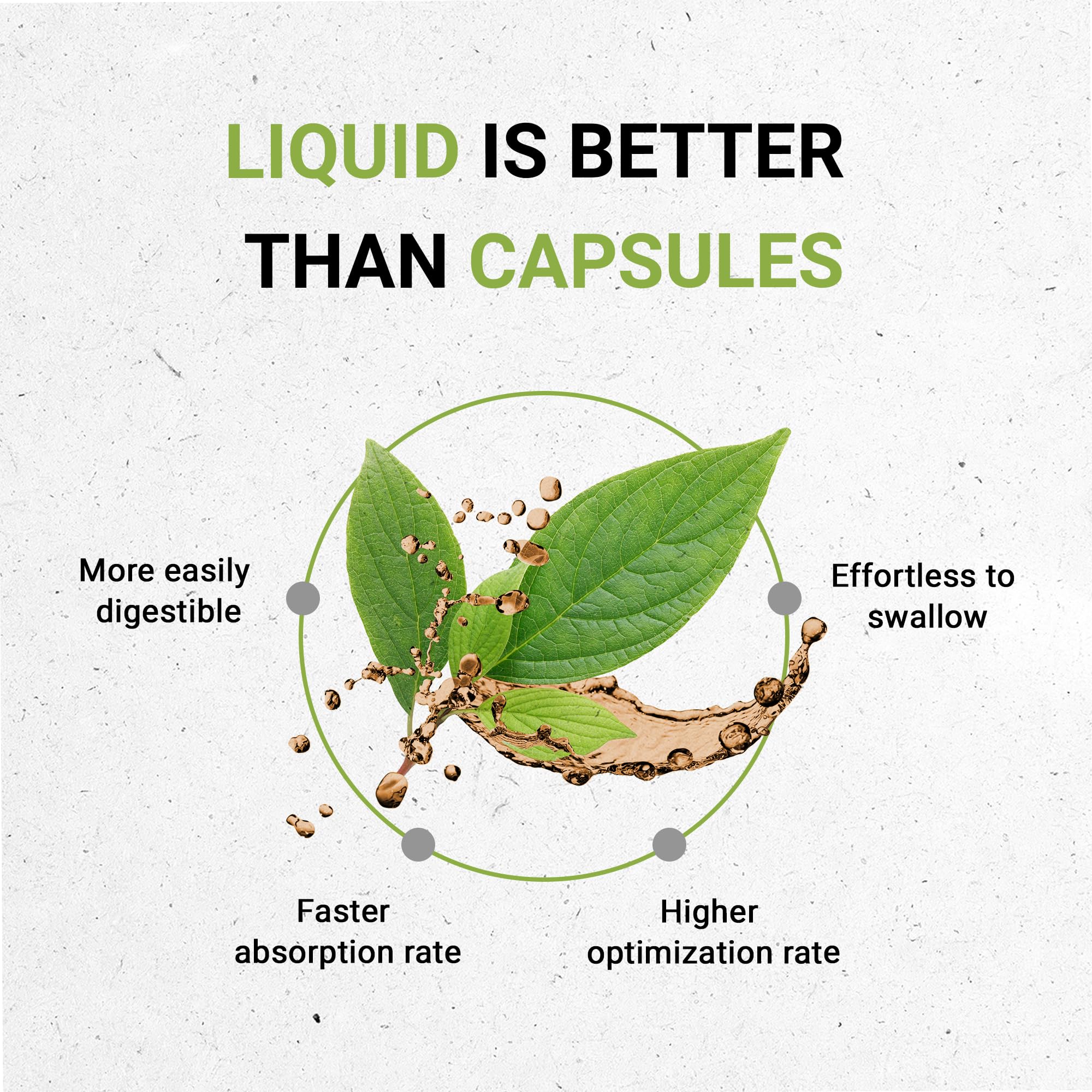 Secrets of the Tribe Mistletoe Tincture Alcohol-Free Liquid Extract, Mistletoe Secrets of the Tribe