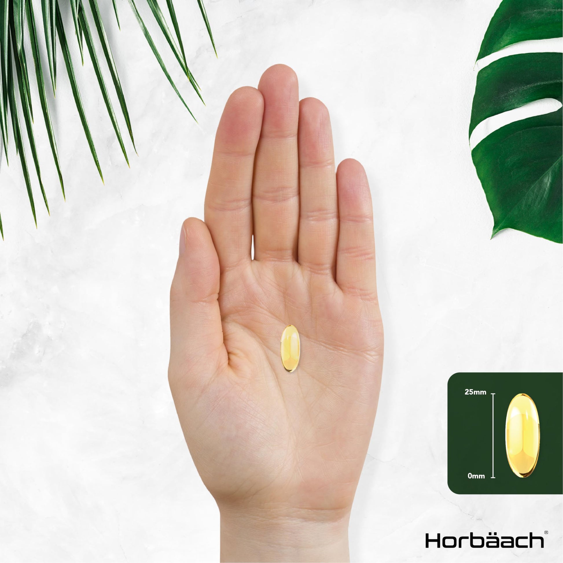 Omega 3 6 9 Capsules High Strength | 3000mg | 120 Softgels | Triple Omega 369 Horbäach