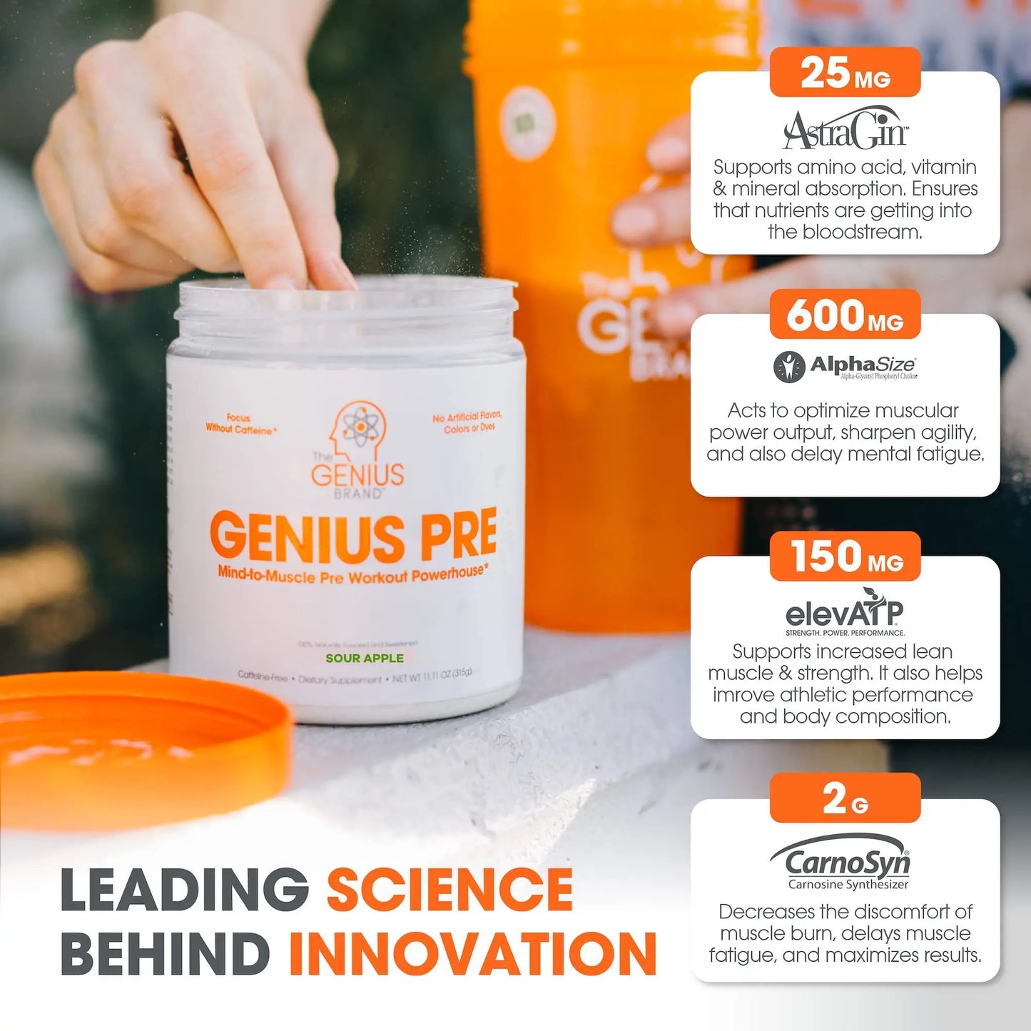 Genius Pre Workout Powder, Sour Apple, and Genius Micronized Creatine Monohydrate Powder, Unflavored, All Natural Nootropic Pre Workout and Post Workout Supplement Stack