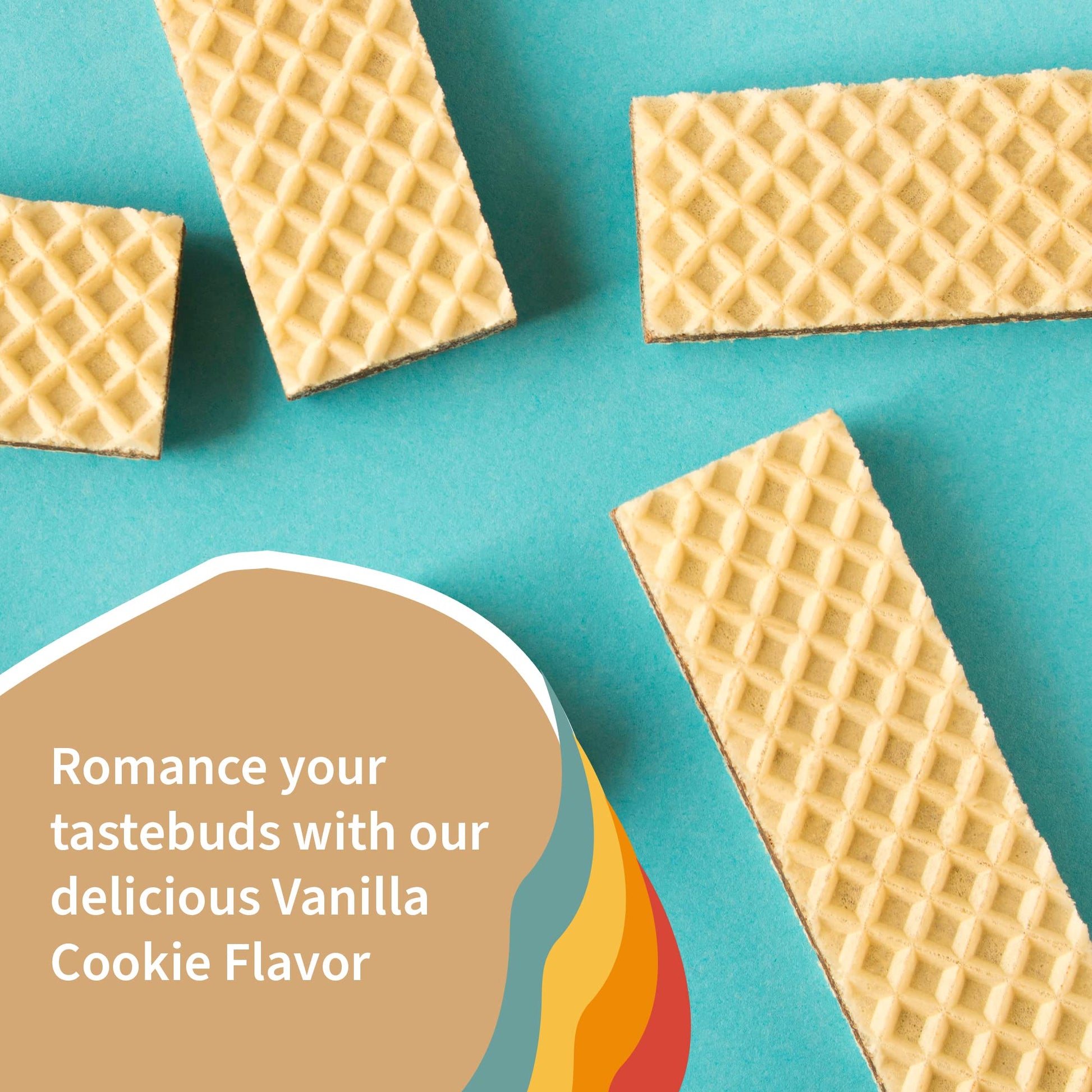 Garden of Life Creamy Vanilla Cookie Protein Powder + Oatmilk 20g Organic Vegan Plant Garden of Life