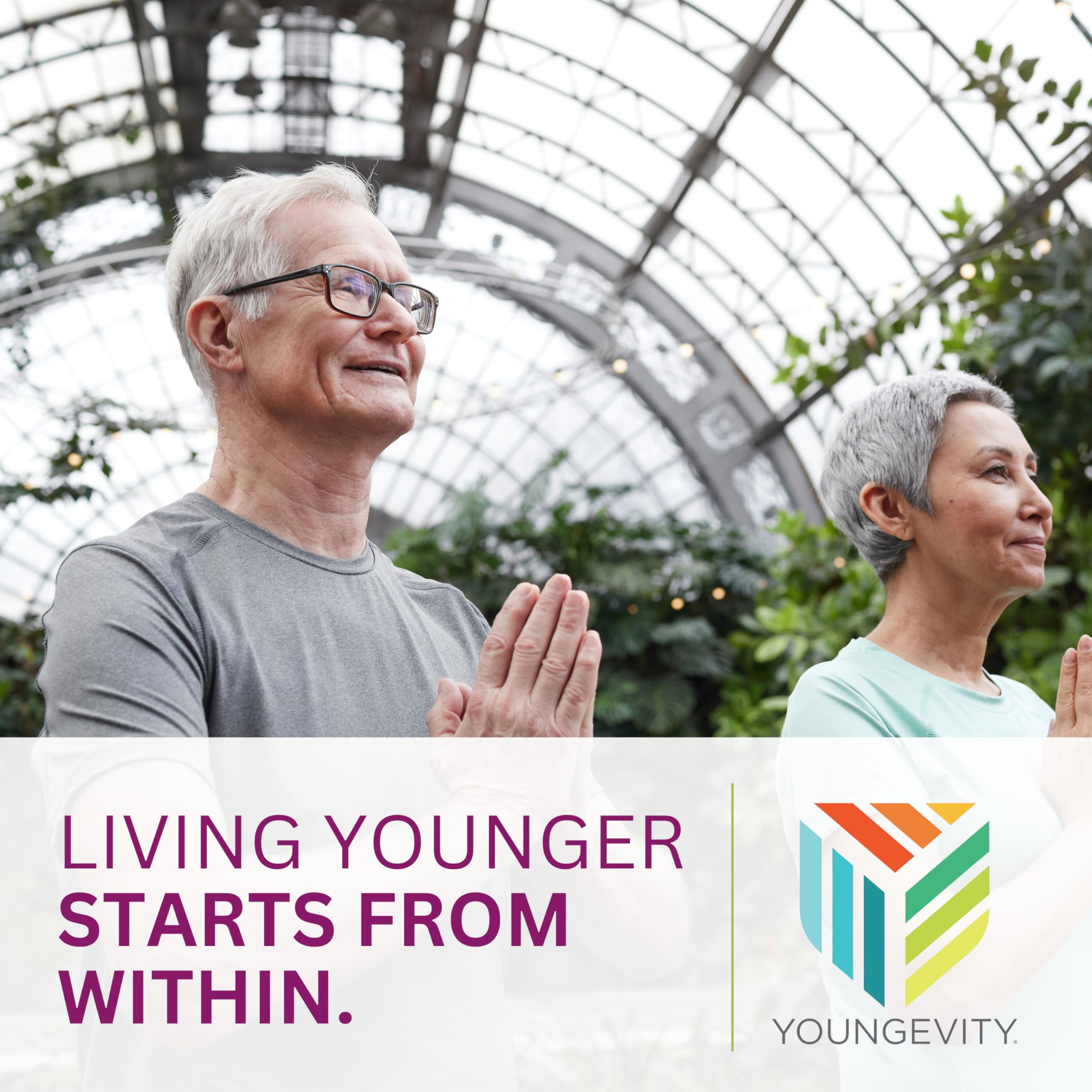 TRIM Stik, Appetite Control, Delicious Kiwi Strawberry beverage, low-calorie, 30 ct Youngevity