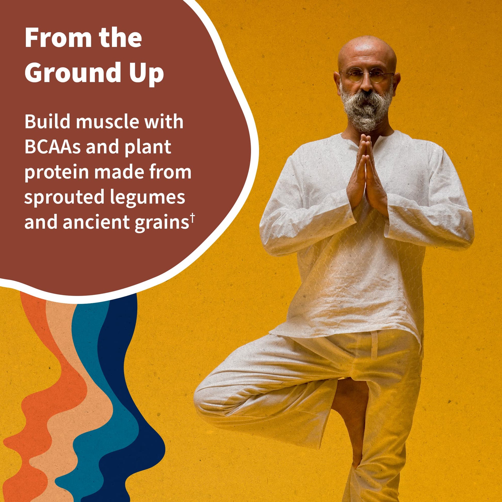 Garden of Life, Organic Vegan Vanilla Chai Protein Powder -22g Complete Plant Based Raw Garden of Life