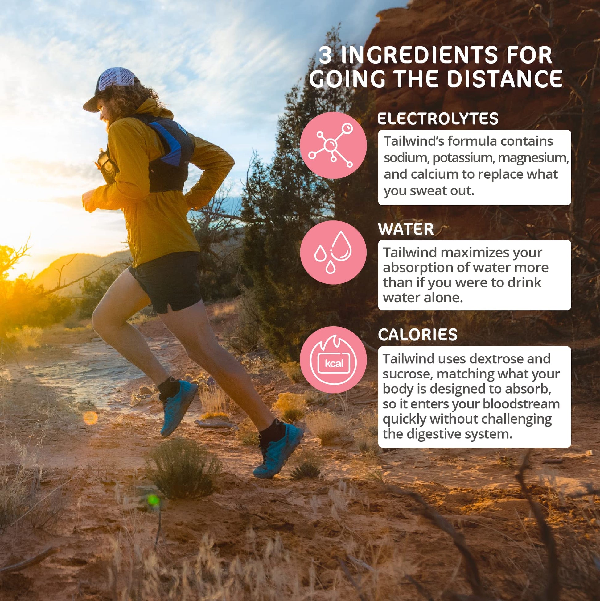 Tailwind Nutrition Endurance Fuel, Caffeine Drink Mix with Electrolytes